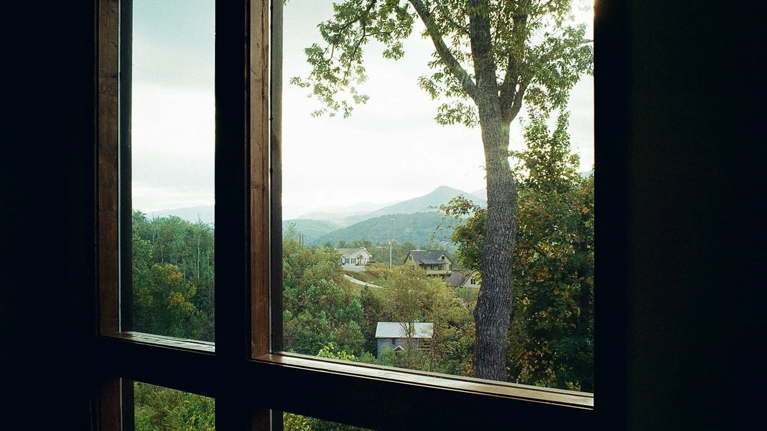 Fall Smoky-000198360010.jpg