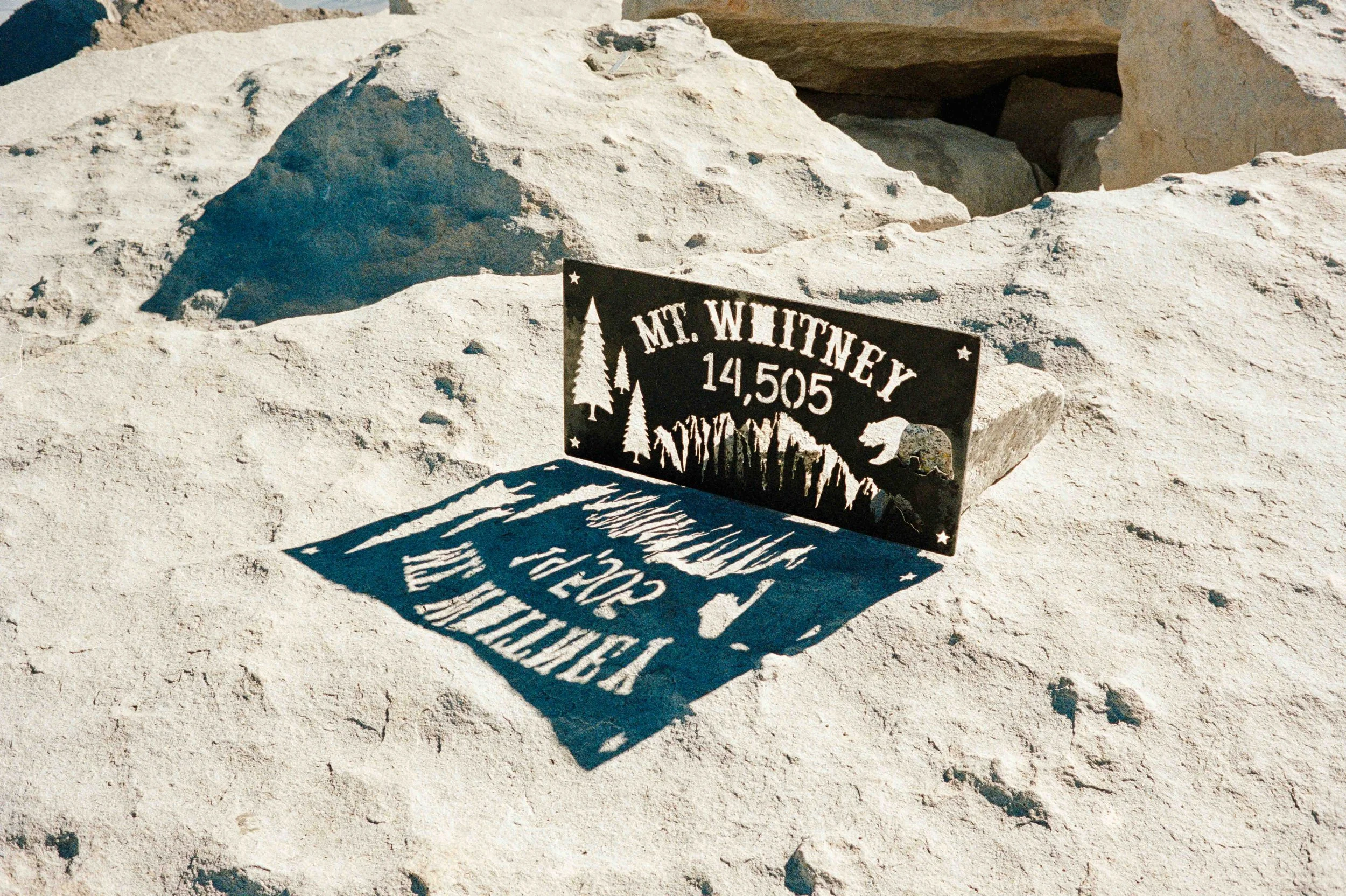 whitney export--140.jpg