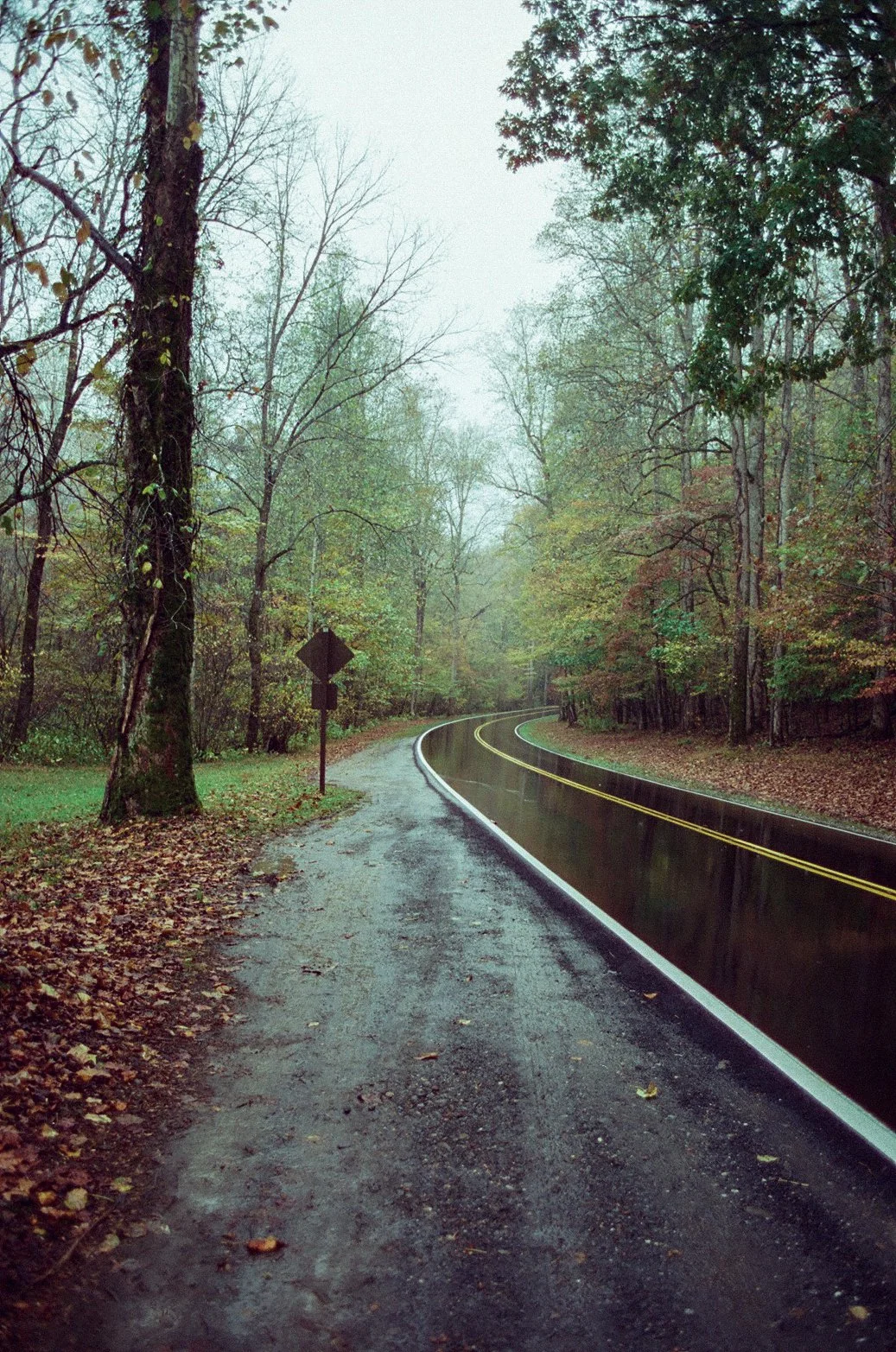 Fall Smoky-000198380011.jpg