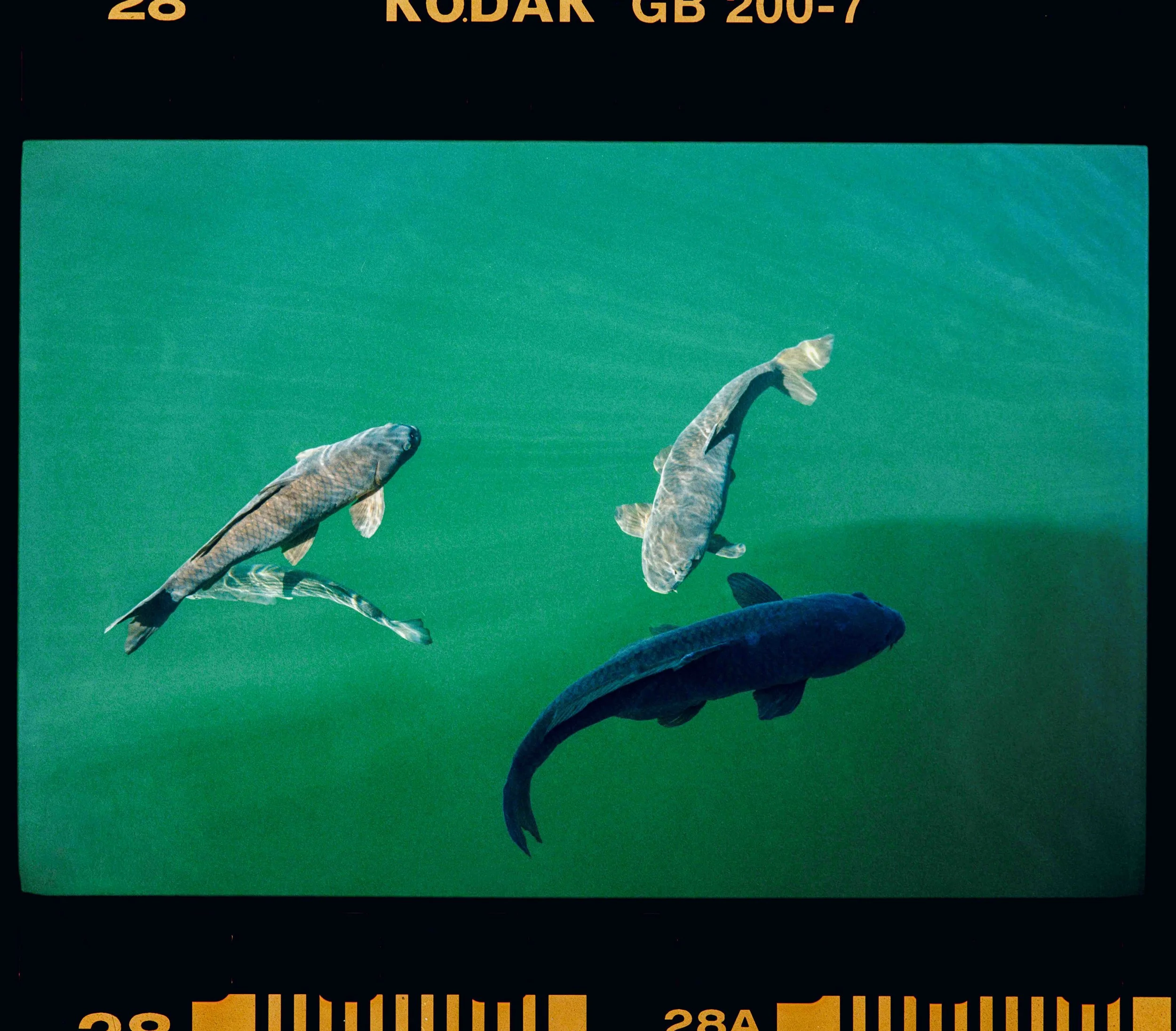 2026_06_11_Gen_Studio--51.jpg