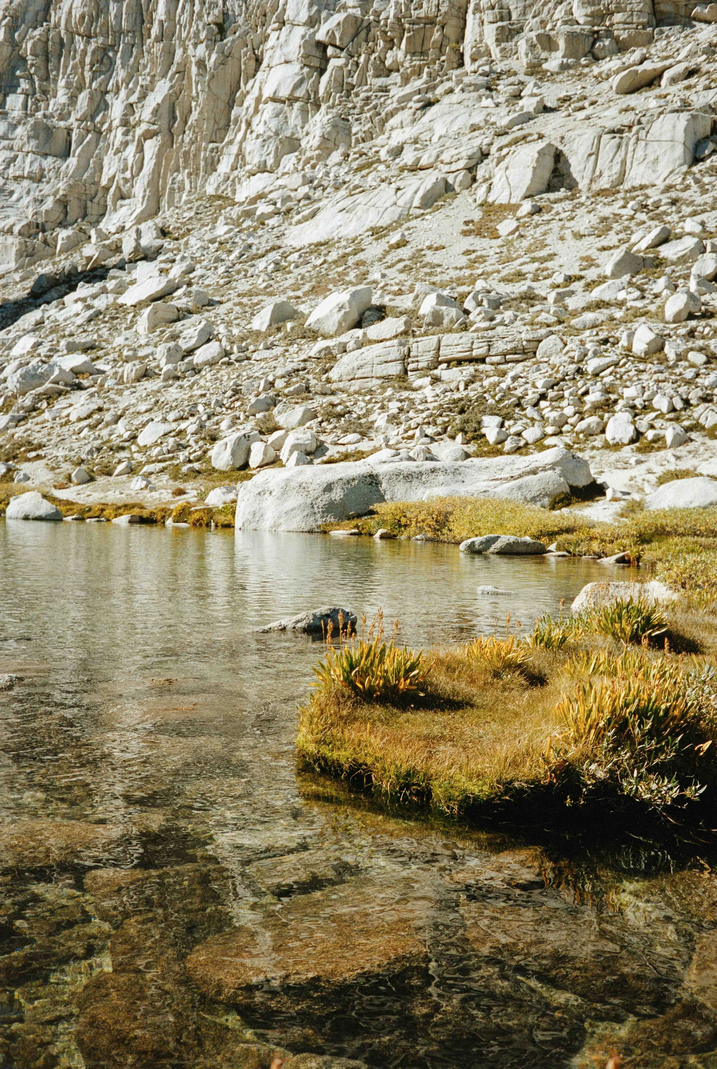 whitney export--80.jpg