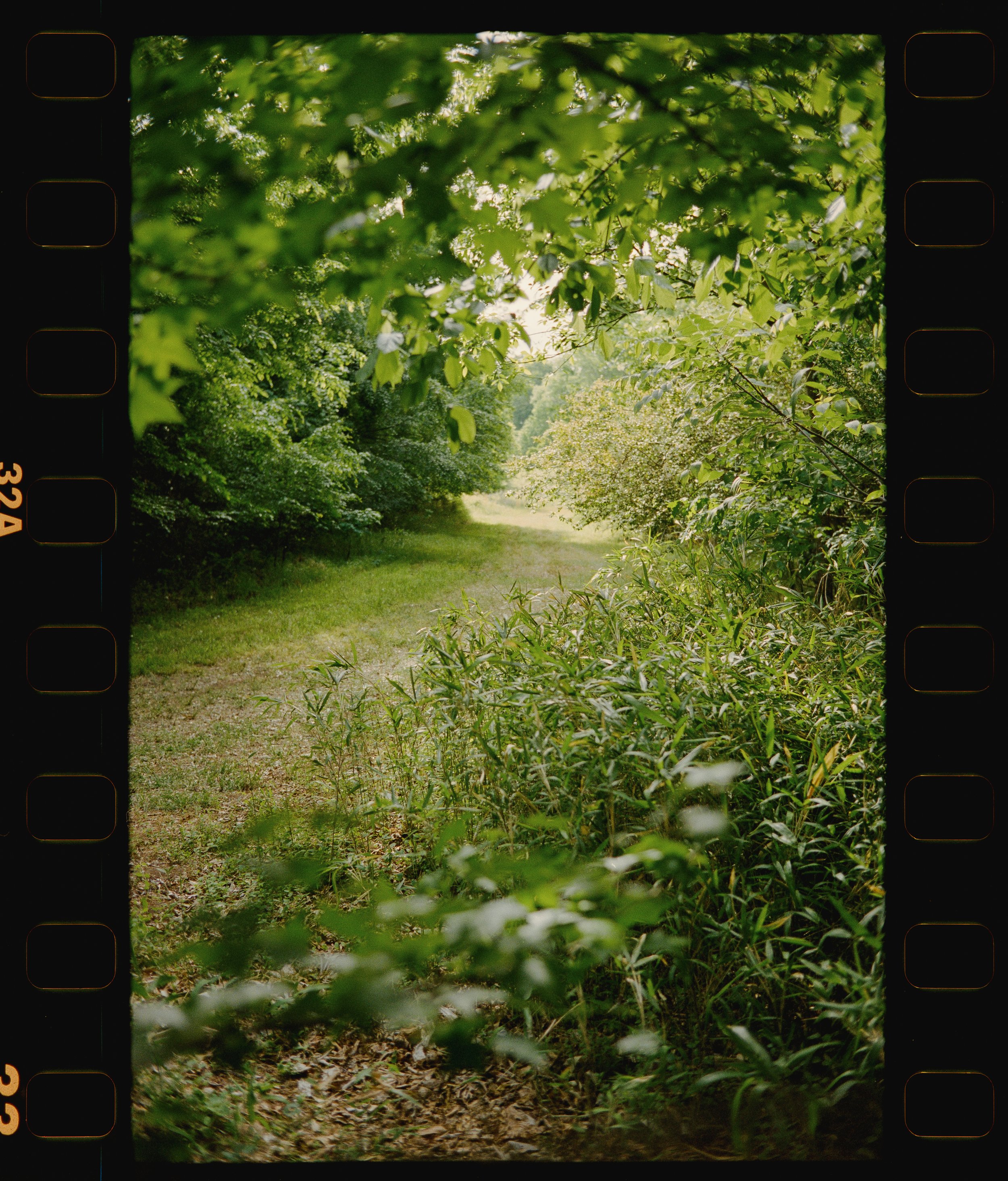 2026_05_01_TLC_4x4--131.jpg