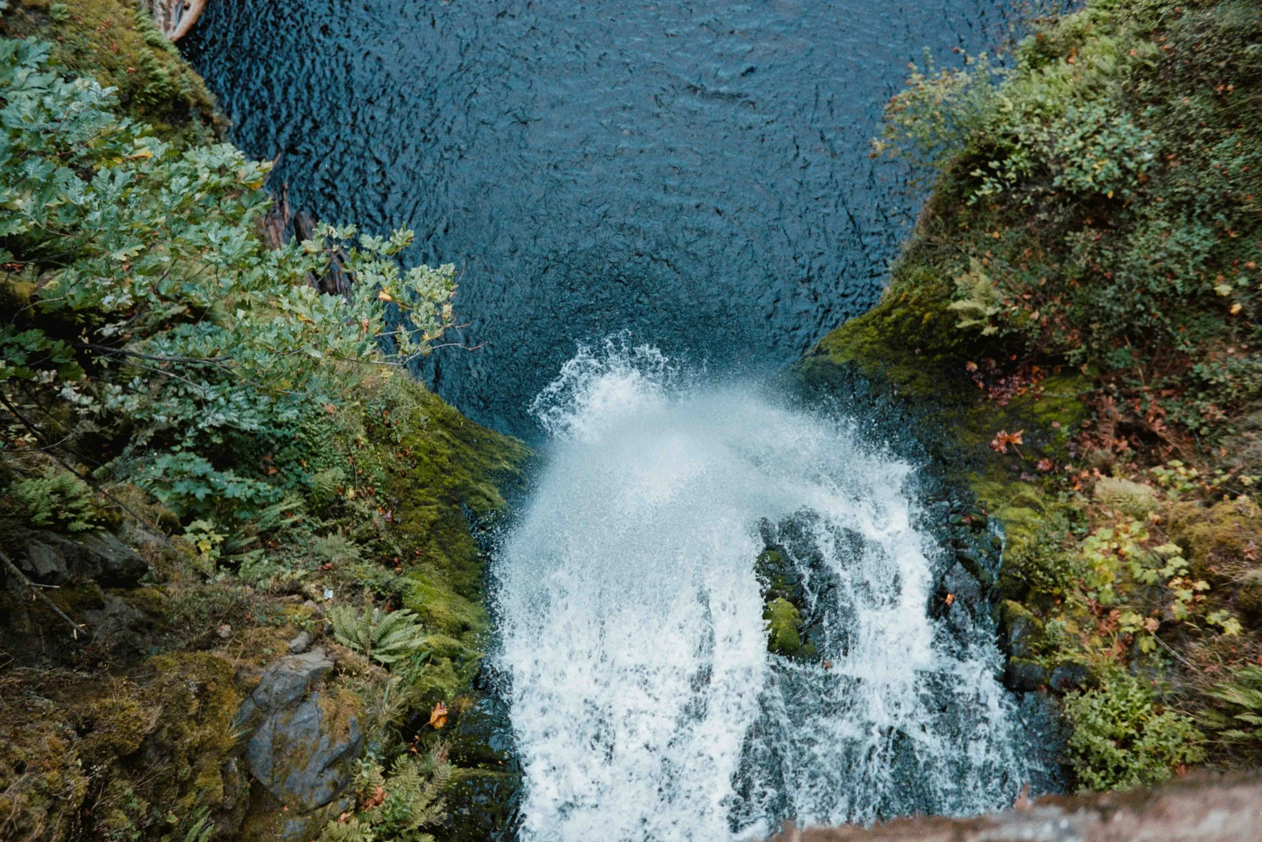 pnwbts--60.jpg