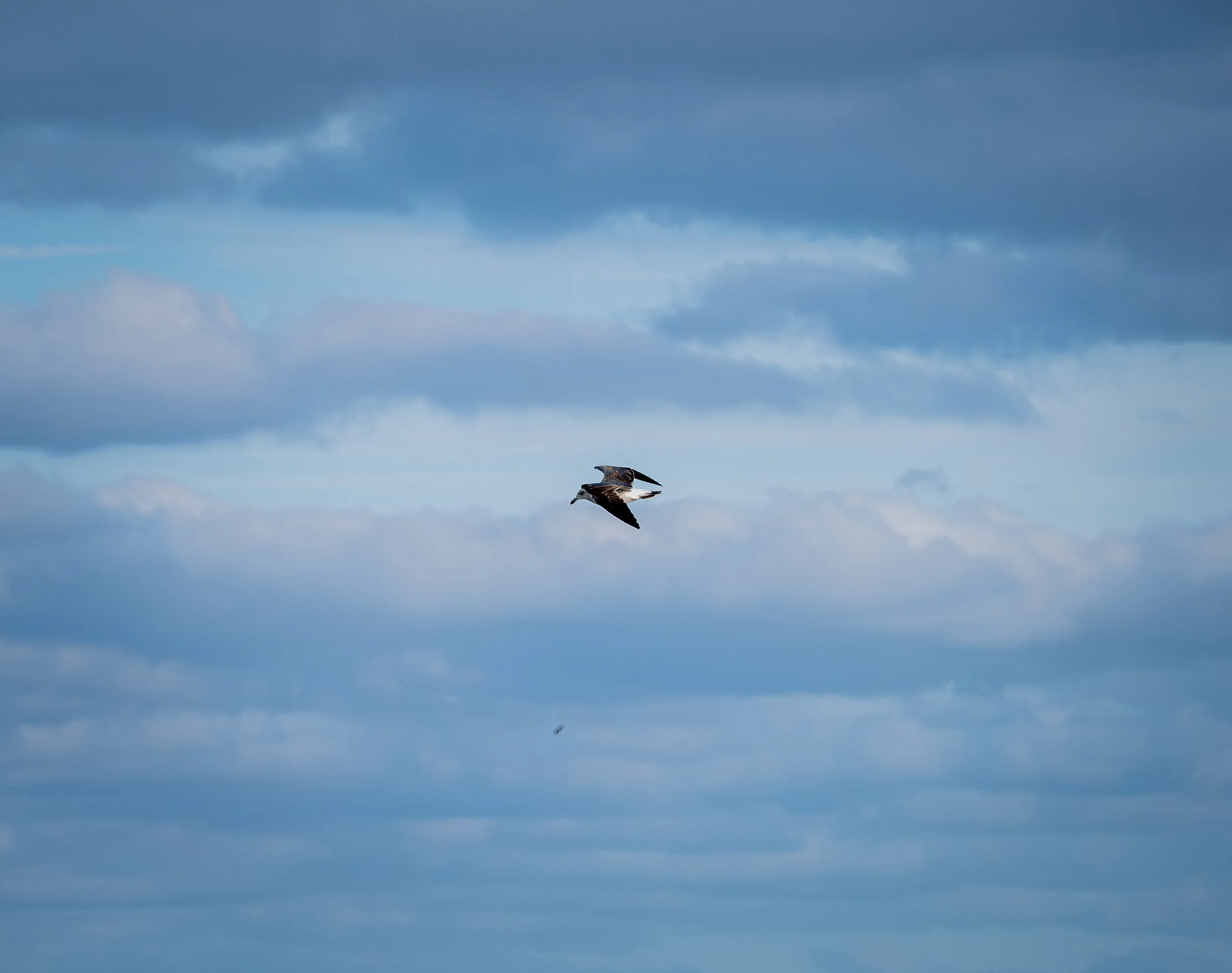 DSCF6273.jpg