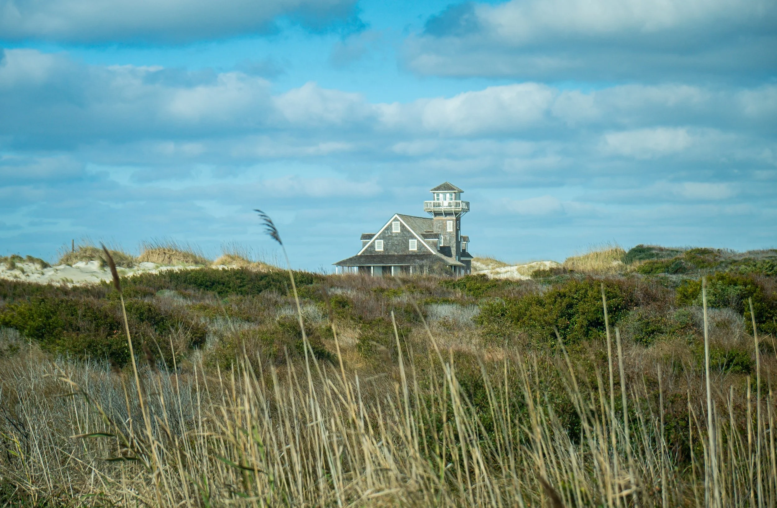 DSCF6113.jpg