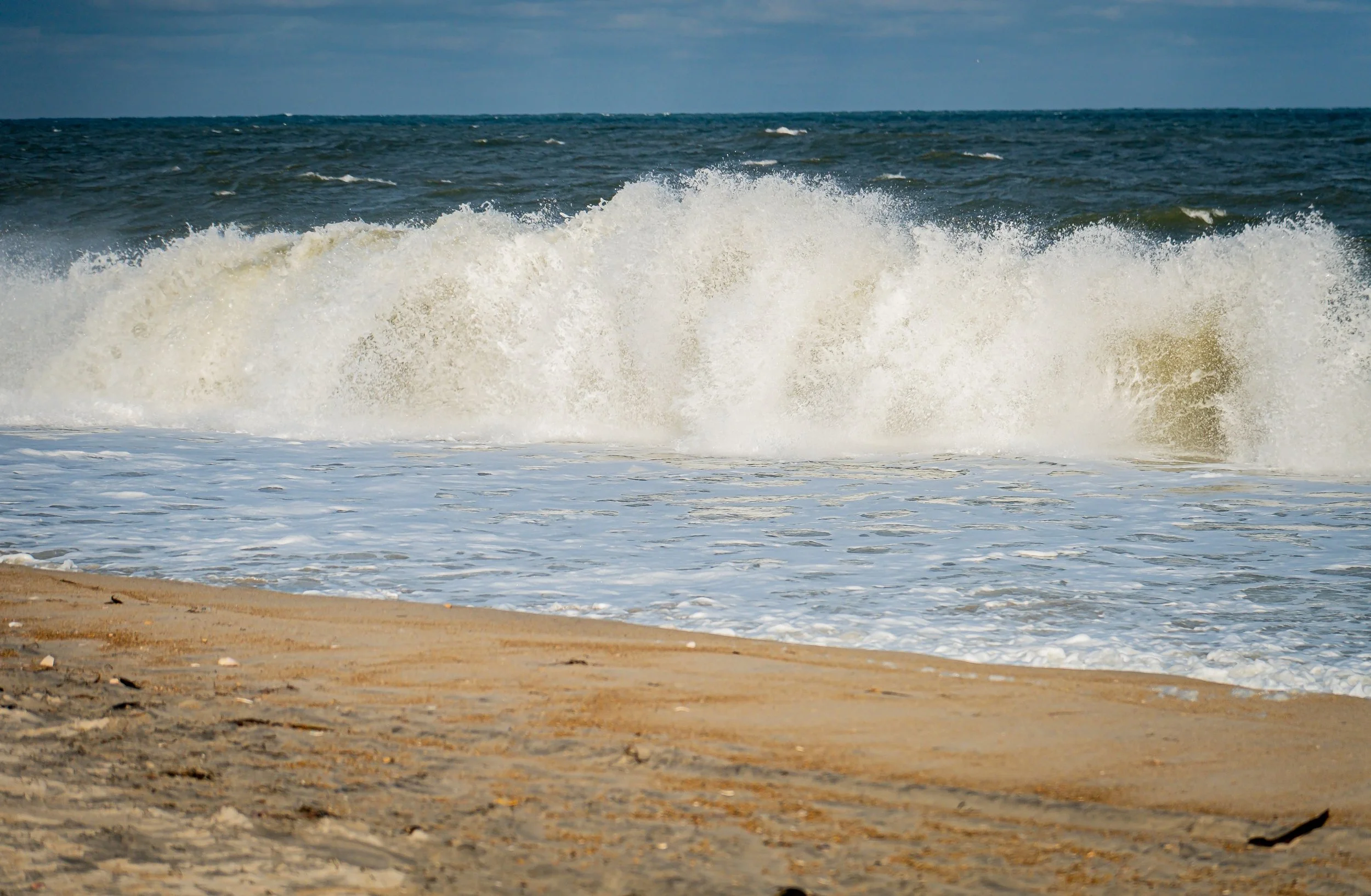 DSCF6194.jpg