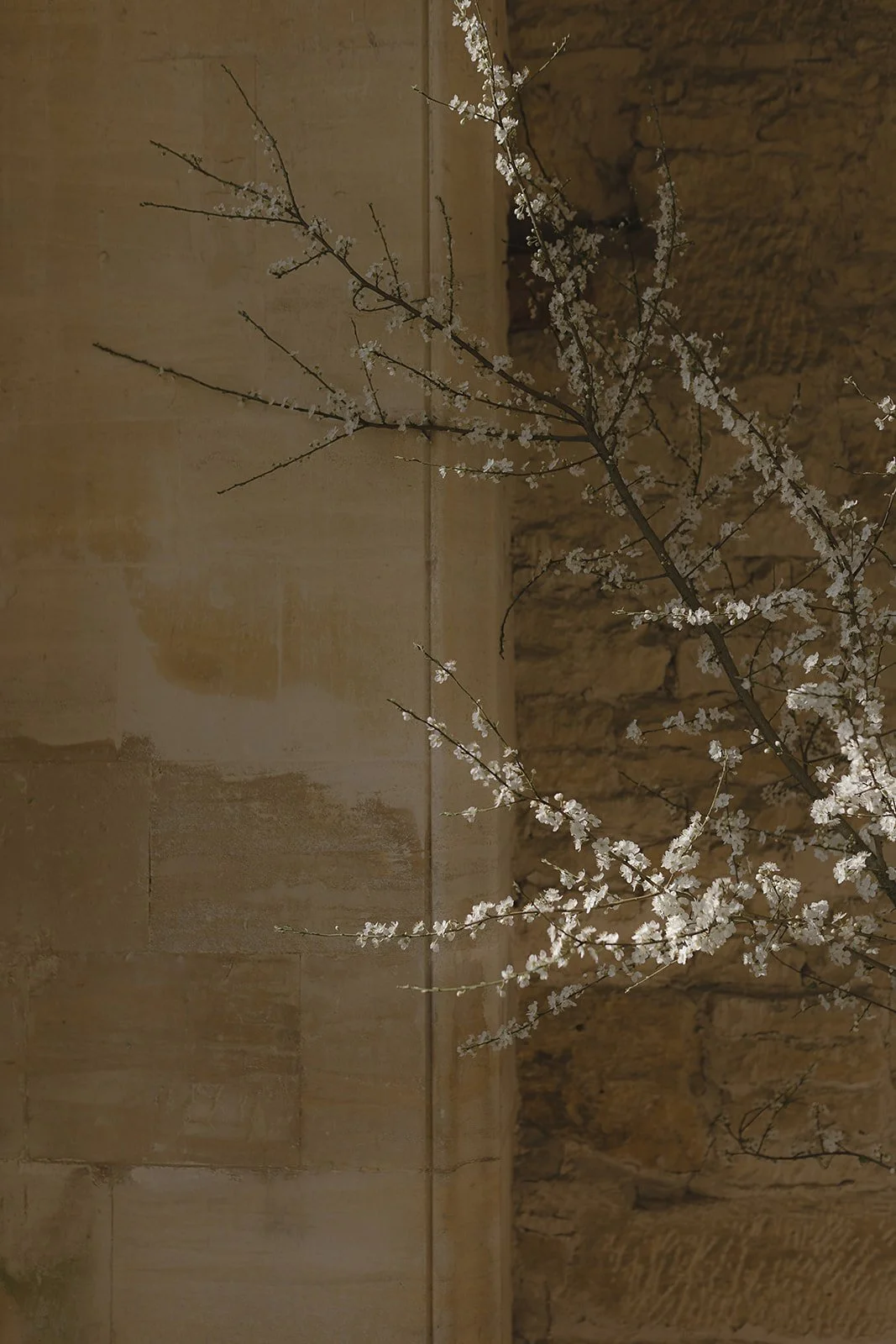 Aga Hosking Photography-7.jpg