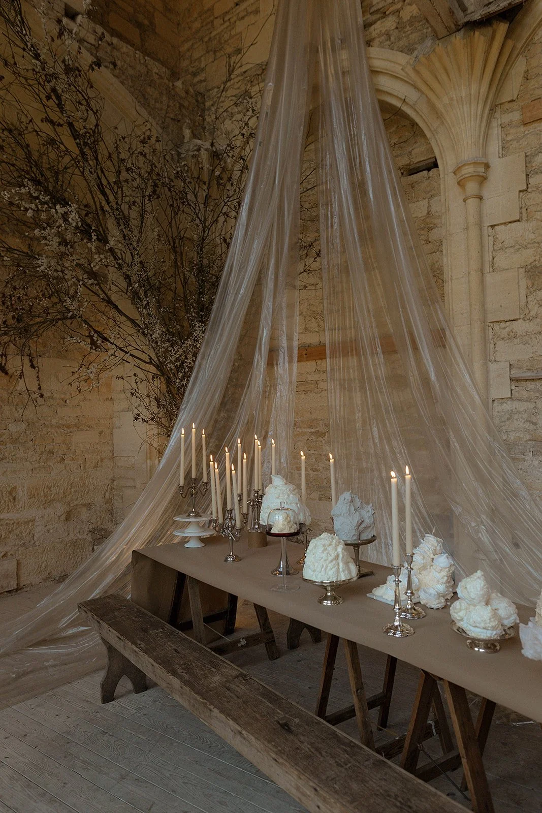 Wild Petals, Quiet Forms