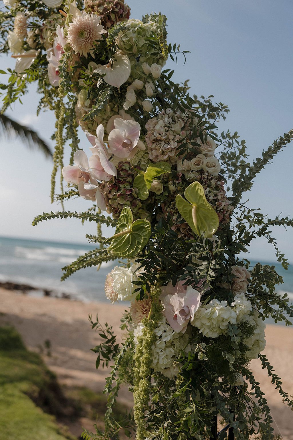 cassiebethphoto-9926.jpg