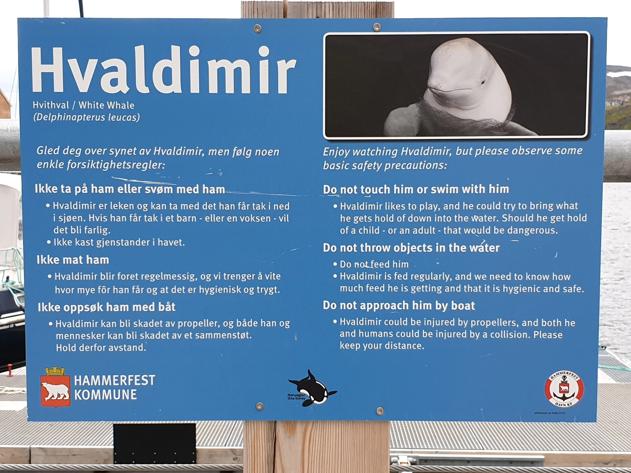 20190621_190752.jpg