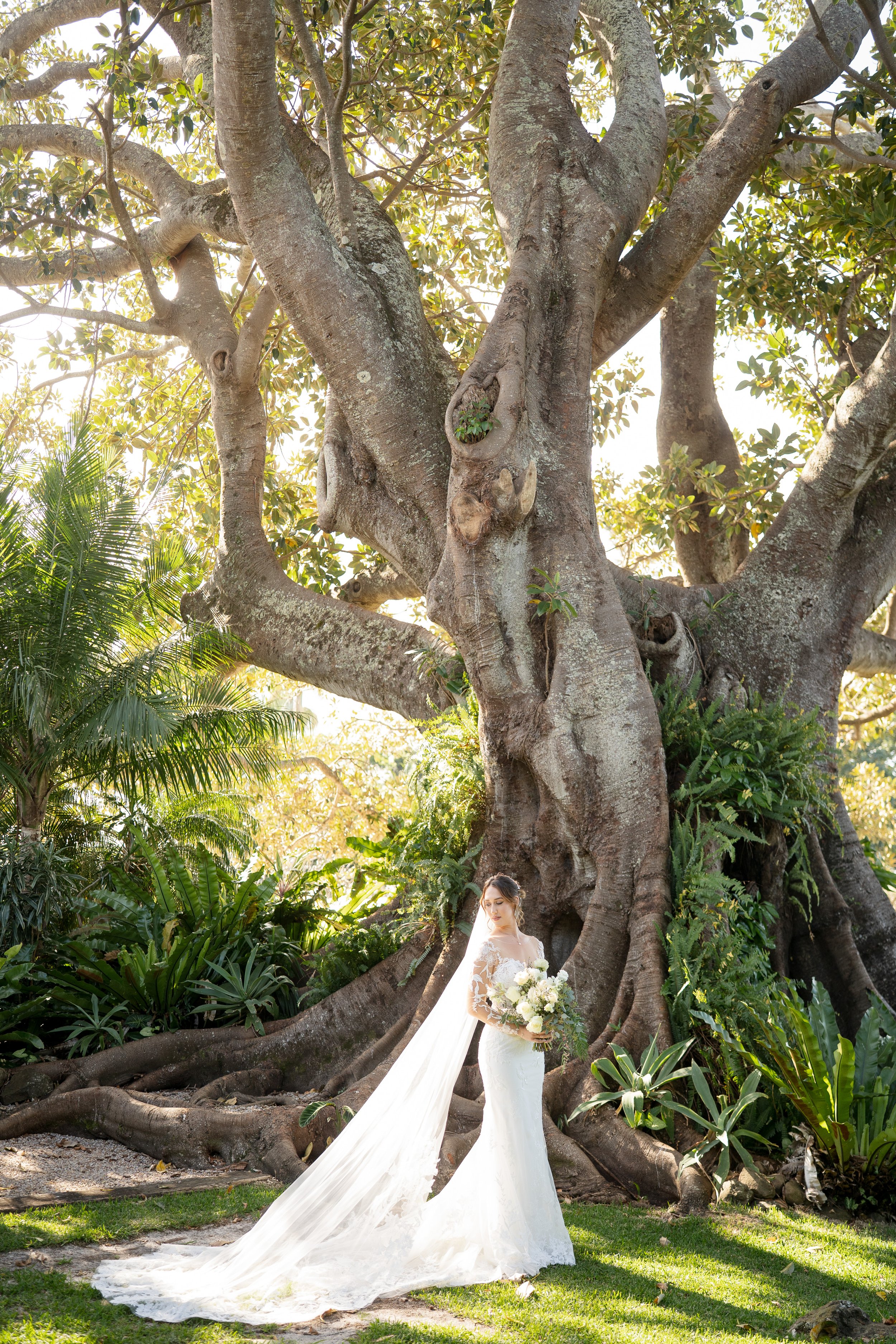 AuroraPhotography_JodiAlan_Fig%20Tree%20RestaurantWedding_destinationaustraliawedding-32.jpg