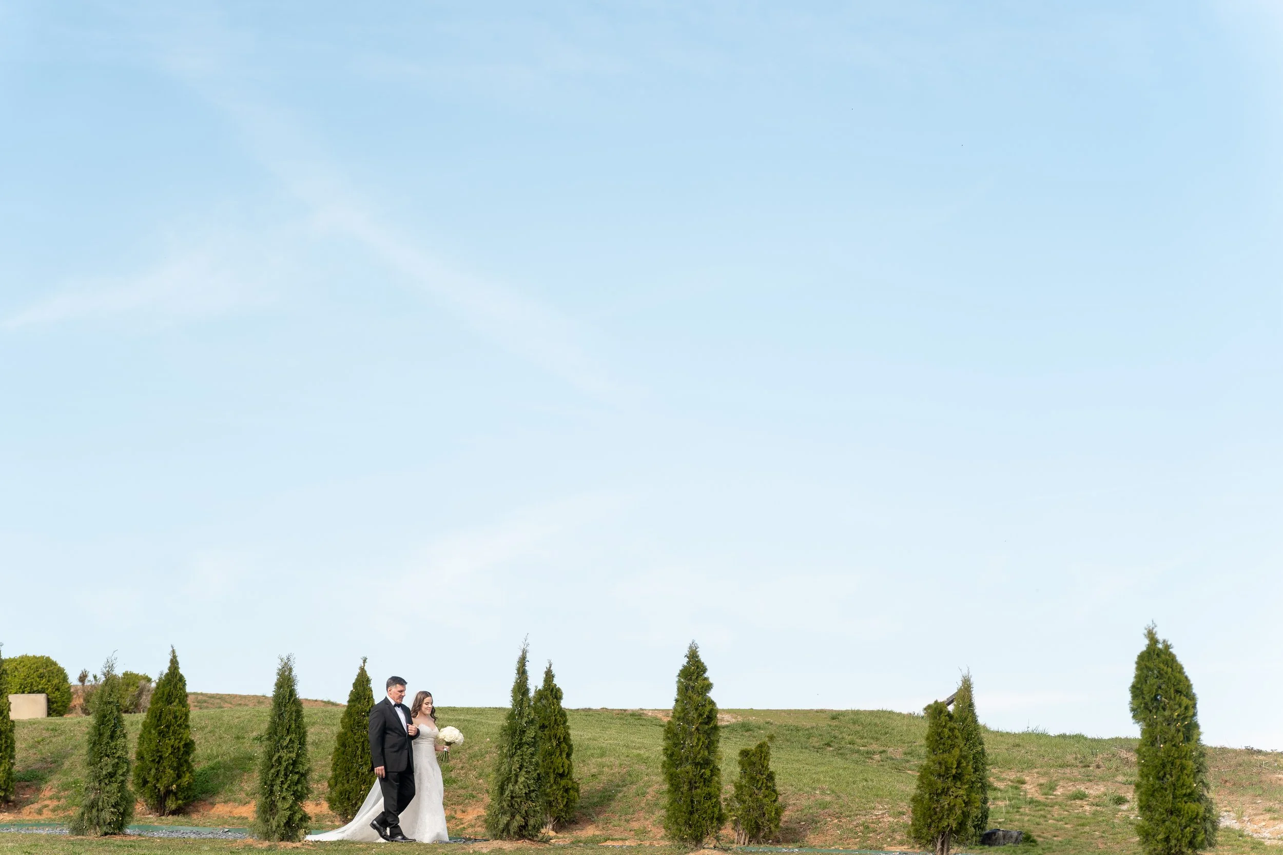 Wedding at Montaluce Vineyard in North Georgia