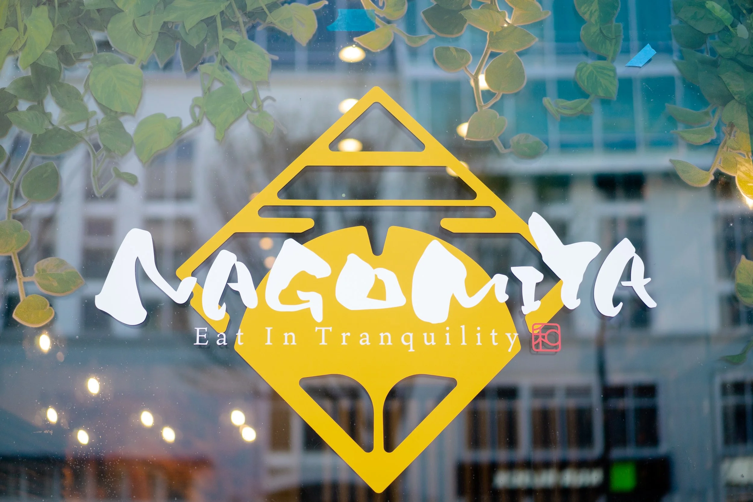 AuroraPhotography_Nagomiya-3.jpg