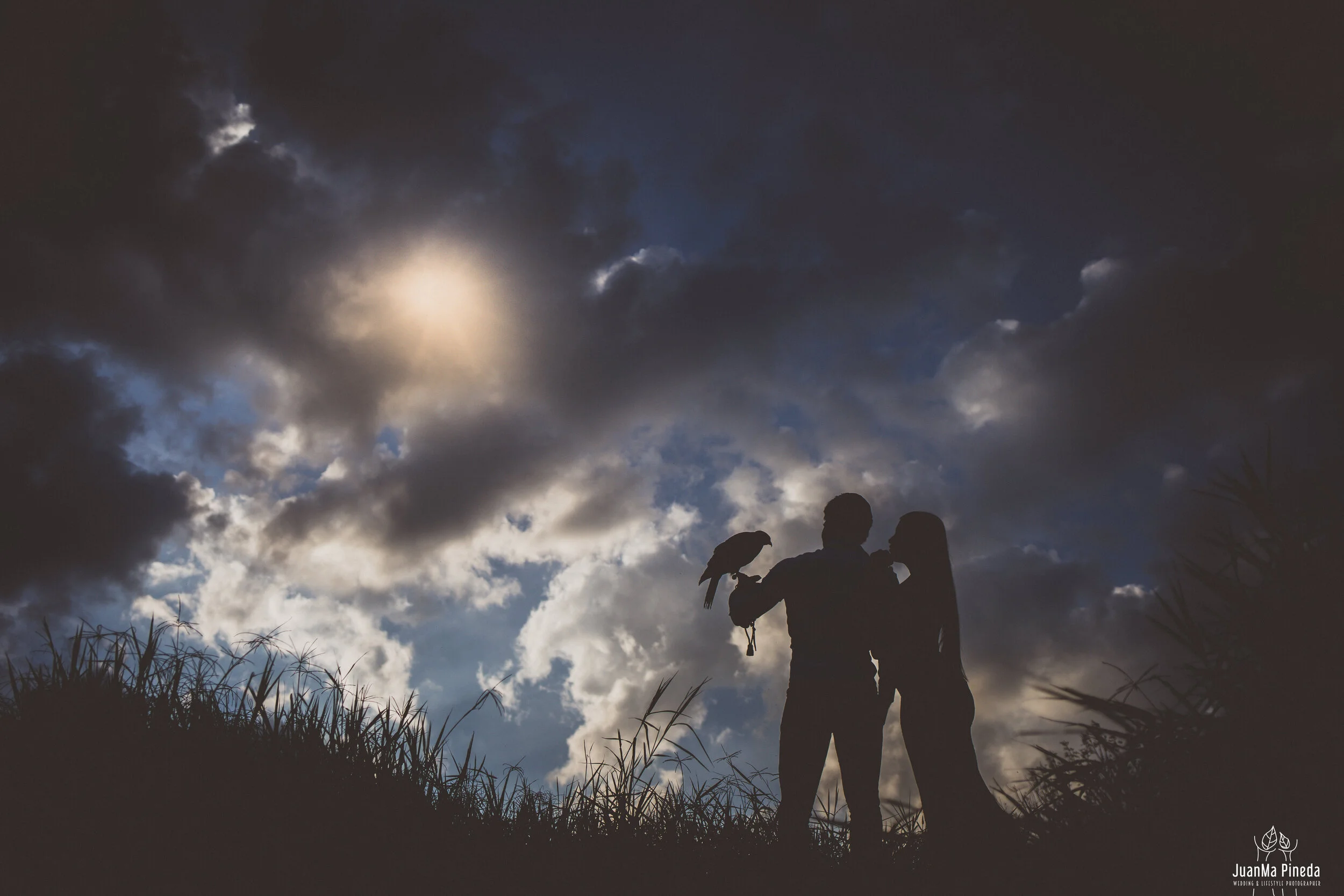 Fotografo+bodas+Guadalajara+Puente+Calderon-1-2.jpg
