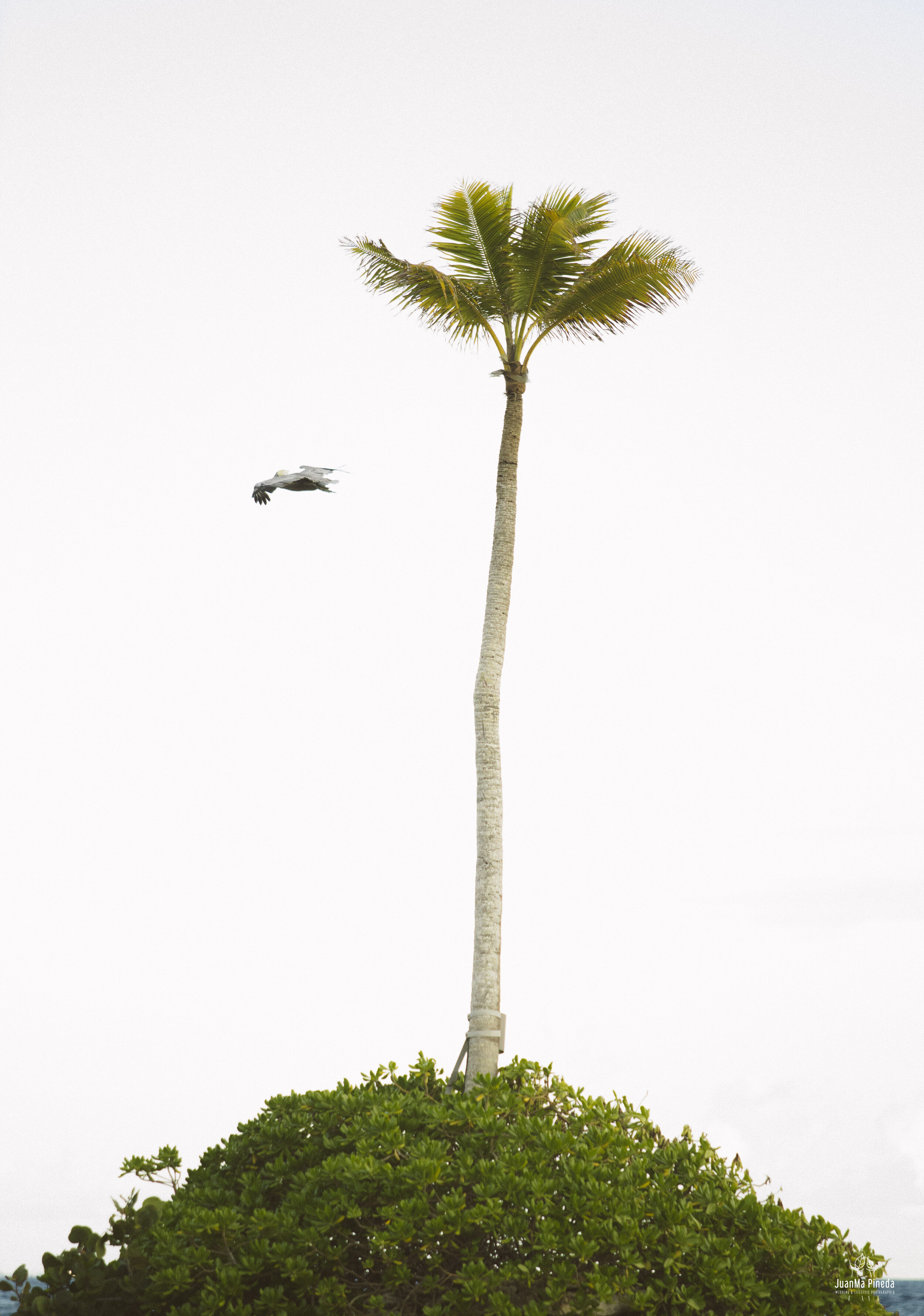 Wedding+Day+Hotel+Xcaret+Destination+Photographer-1-83.jpg