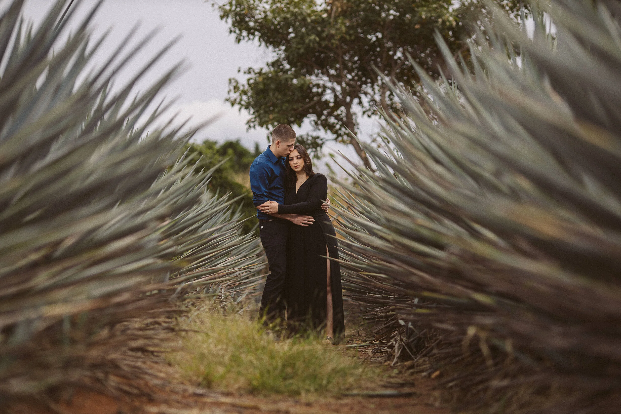 Sesion+Preboda+Tequila+Fotografía-4.jpg