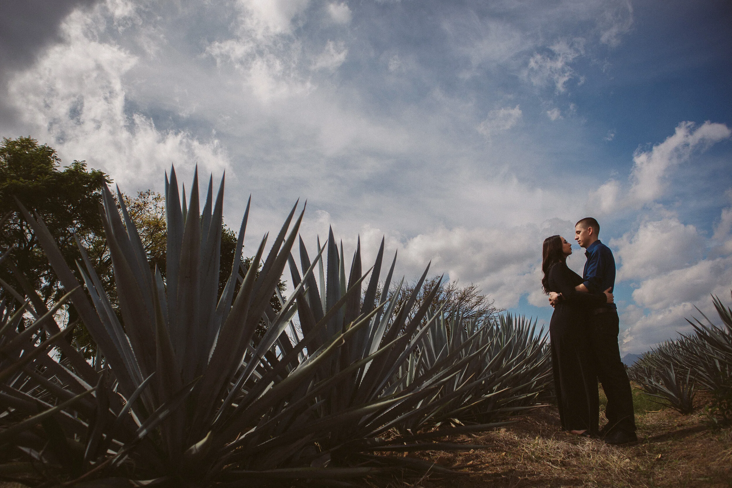 Sesion+Preboda+Tequila+Fotografía-37.jpg