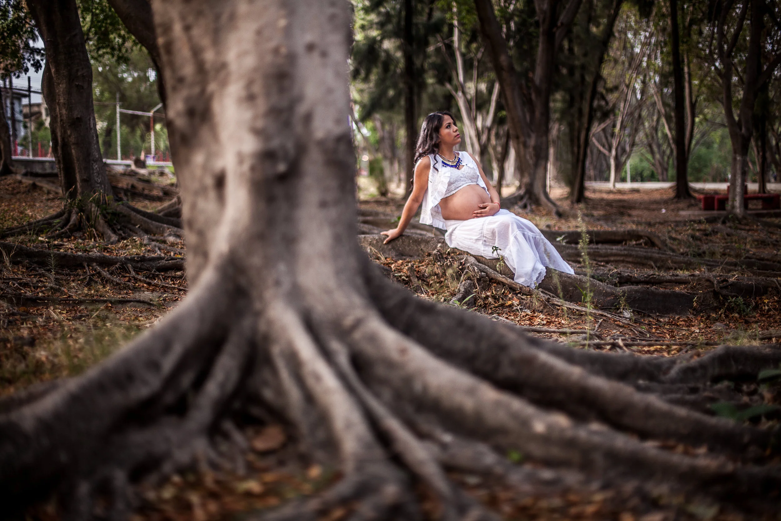 Mom to be Session261215.jpg
