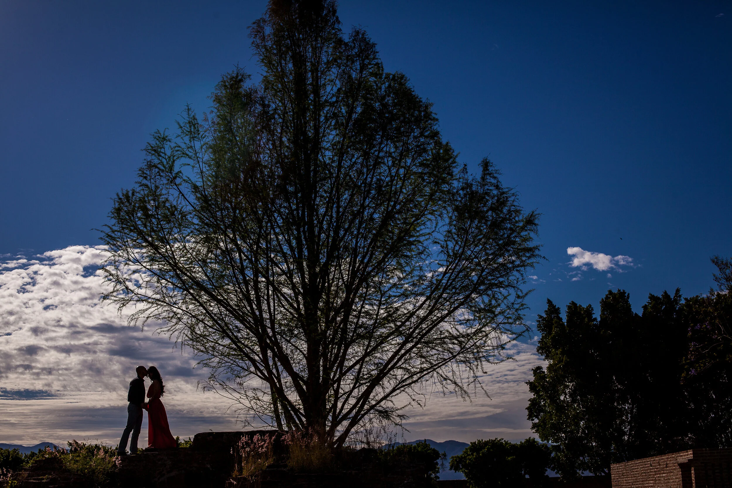 E-session-Hacienda-El Carmen-7005.jpg