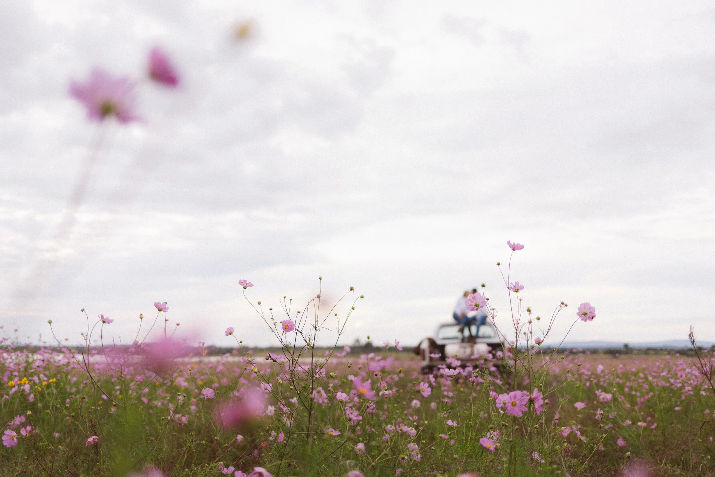 Esession+Fotografo+Bodas+Mexico-1-11.jpg