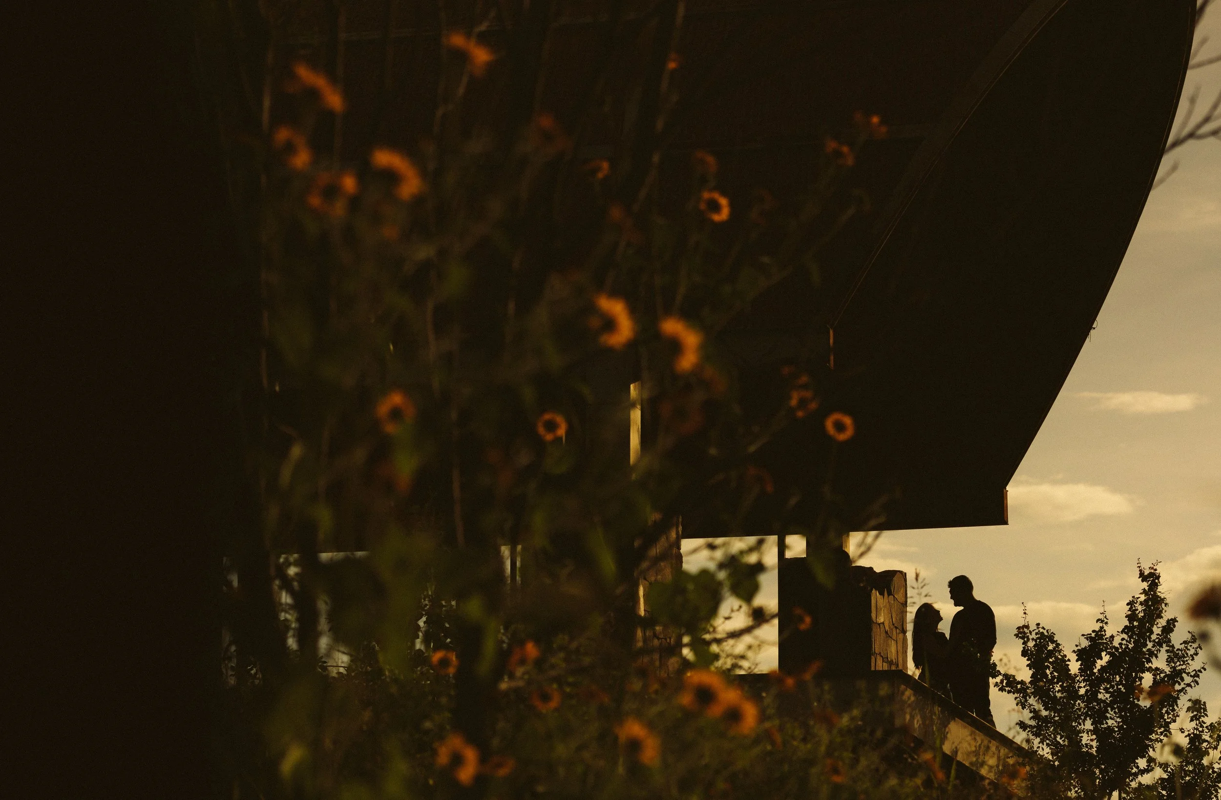 Sesión+Preboda+Puente+Calderon-1-20.jpg