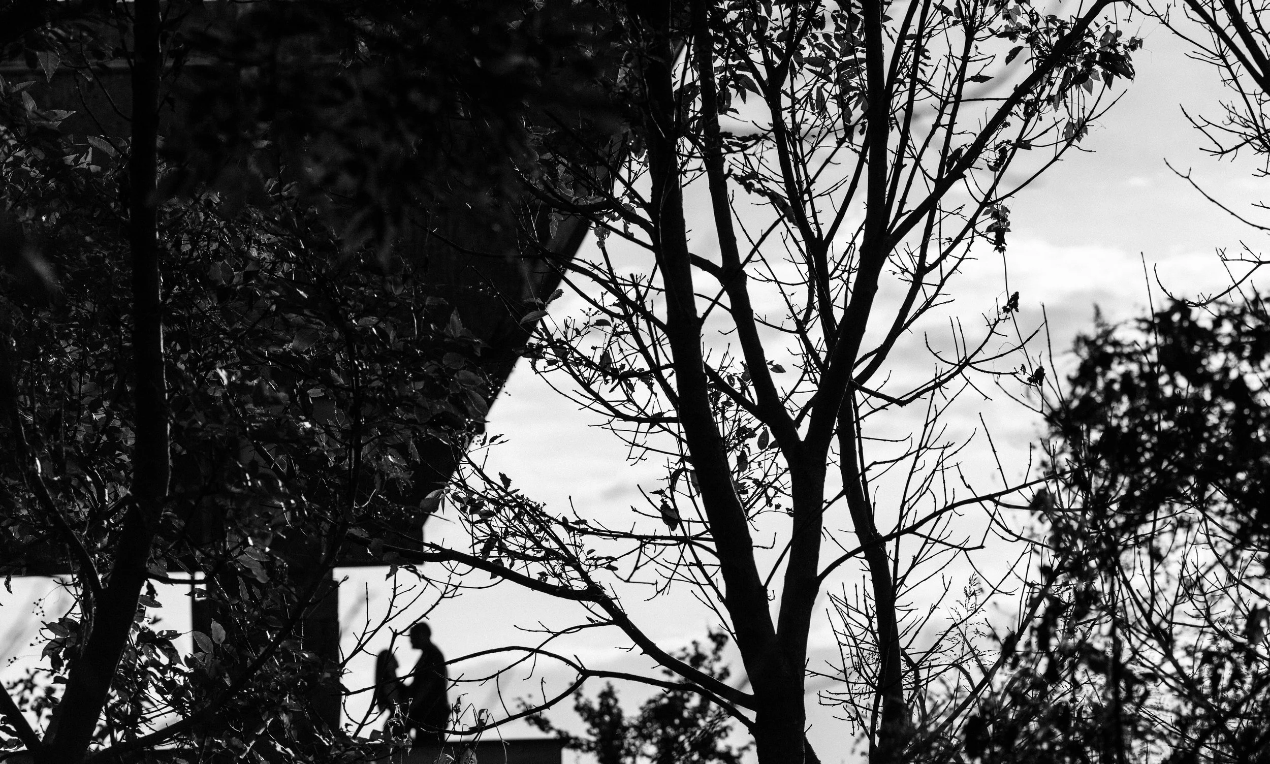 Sesión+Preboda+Puente+Calderon-1-21.jpg