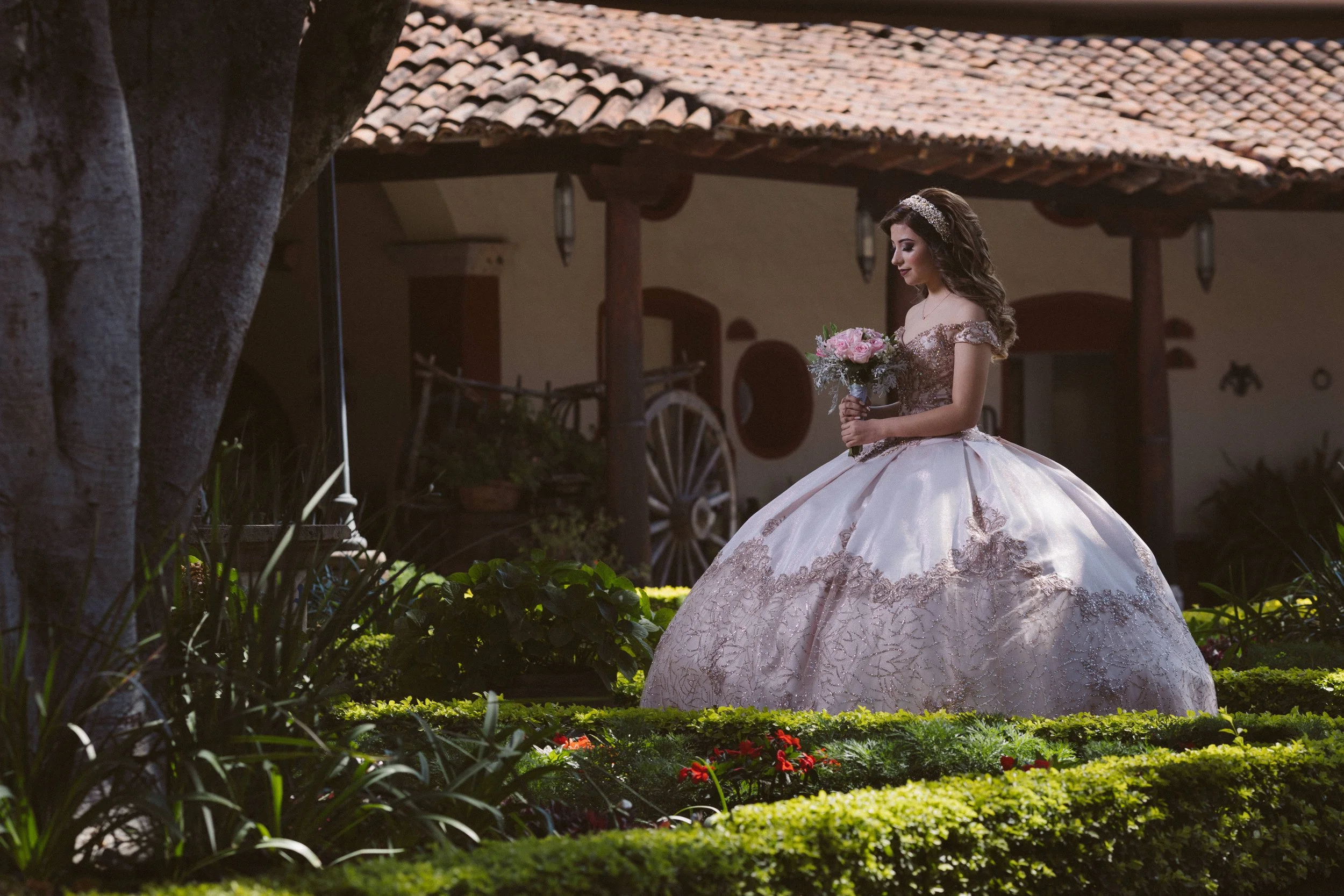 Fotografo+xv+años+Defranca-1-1.jpg