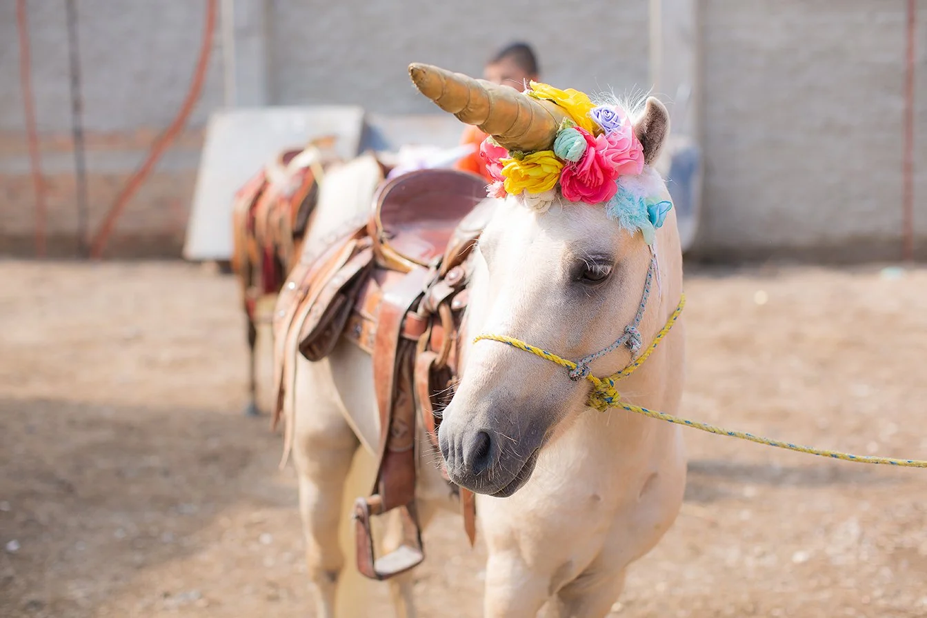 Bautizo-Tonala-Jalisco-Guadalajara-Bebe-E0009.jpg