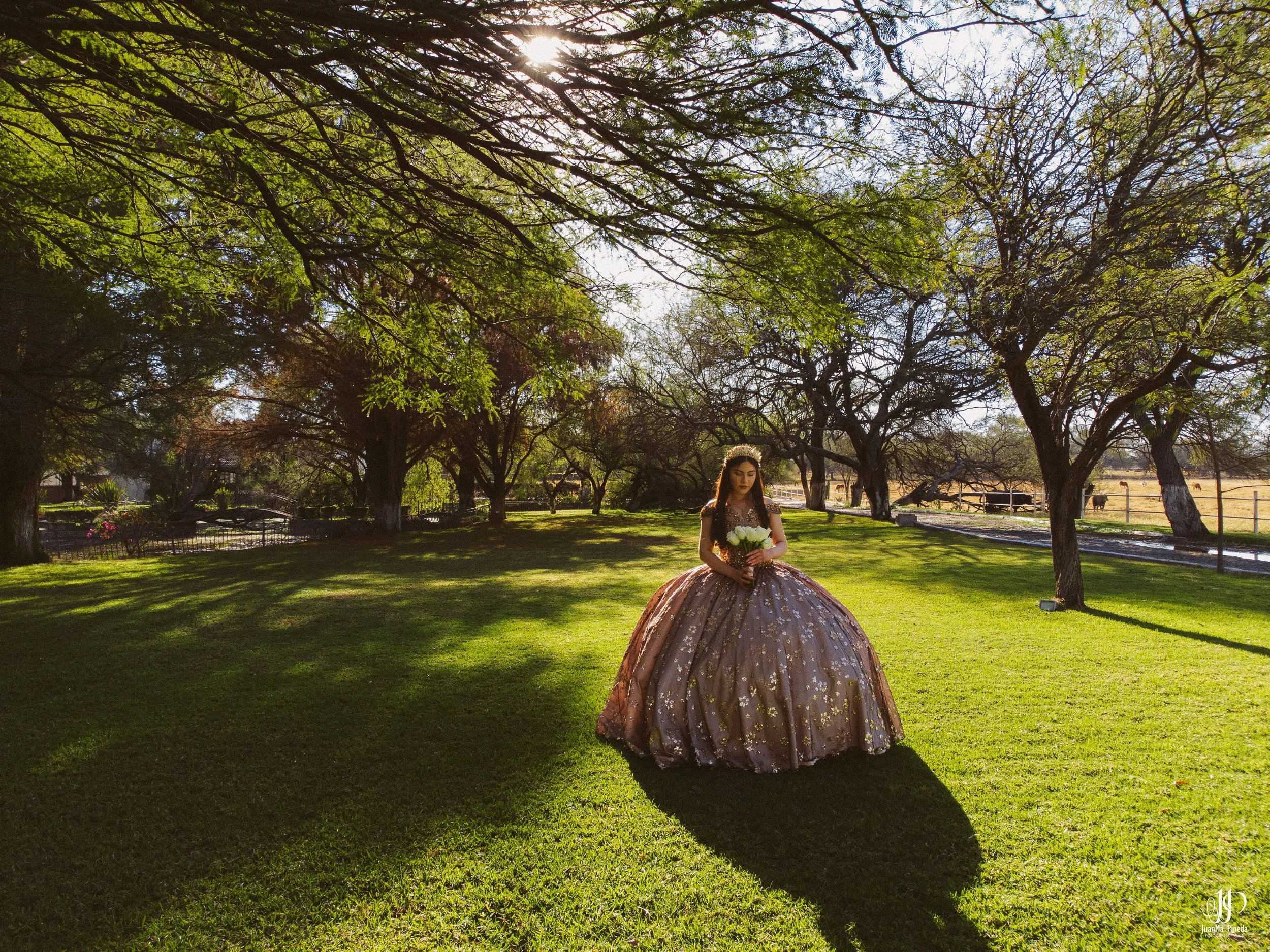  https://www.juanmapineda.com/fotografo-guadalajara/xv 