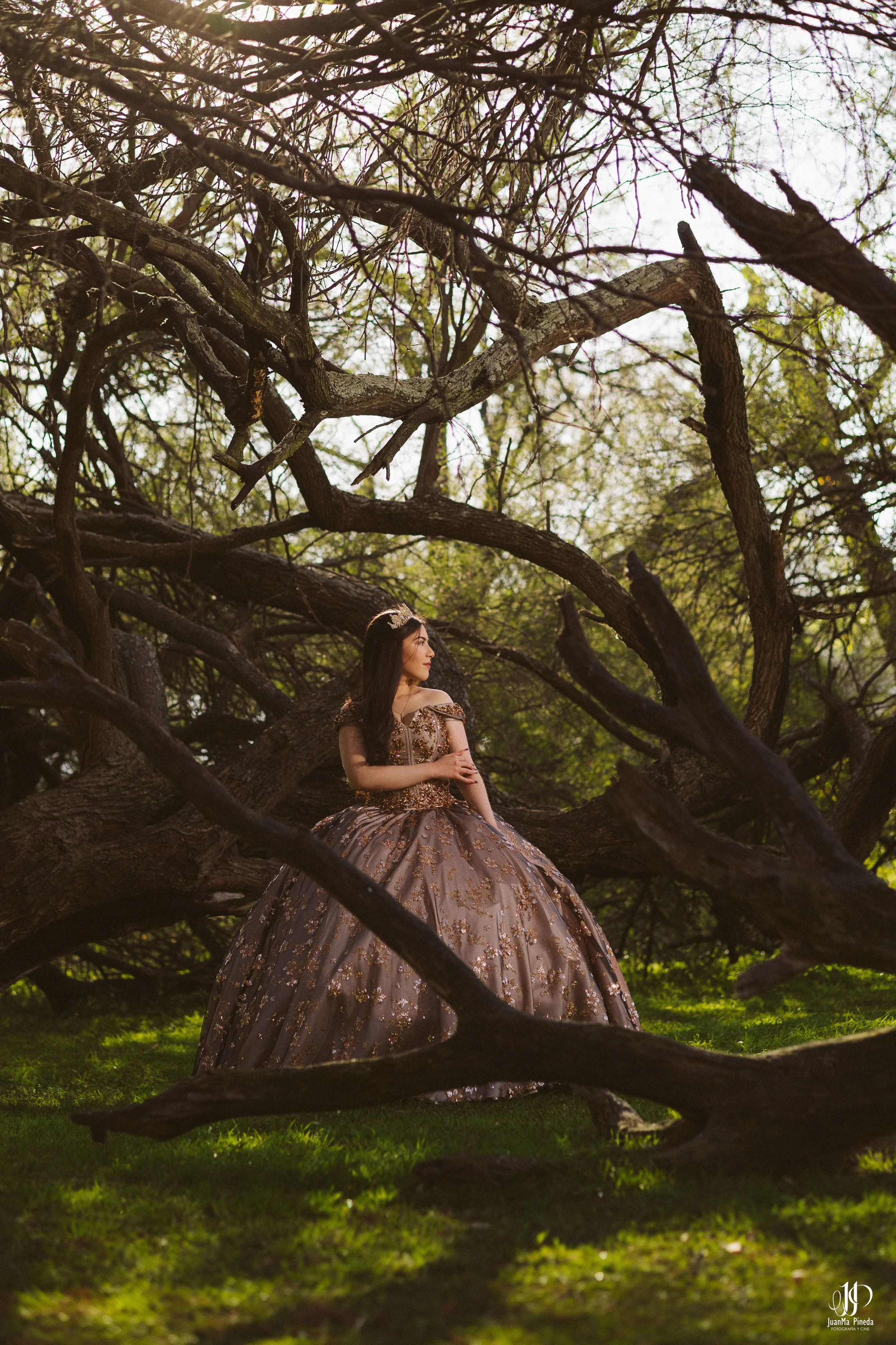  https://www.juanmapineda.com/fotografo-guadalajara/xv 