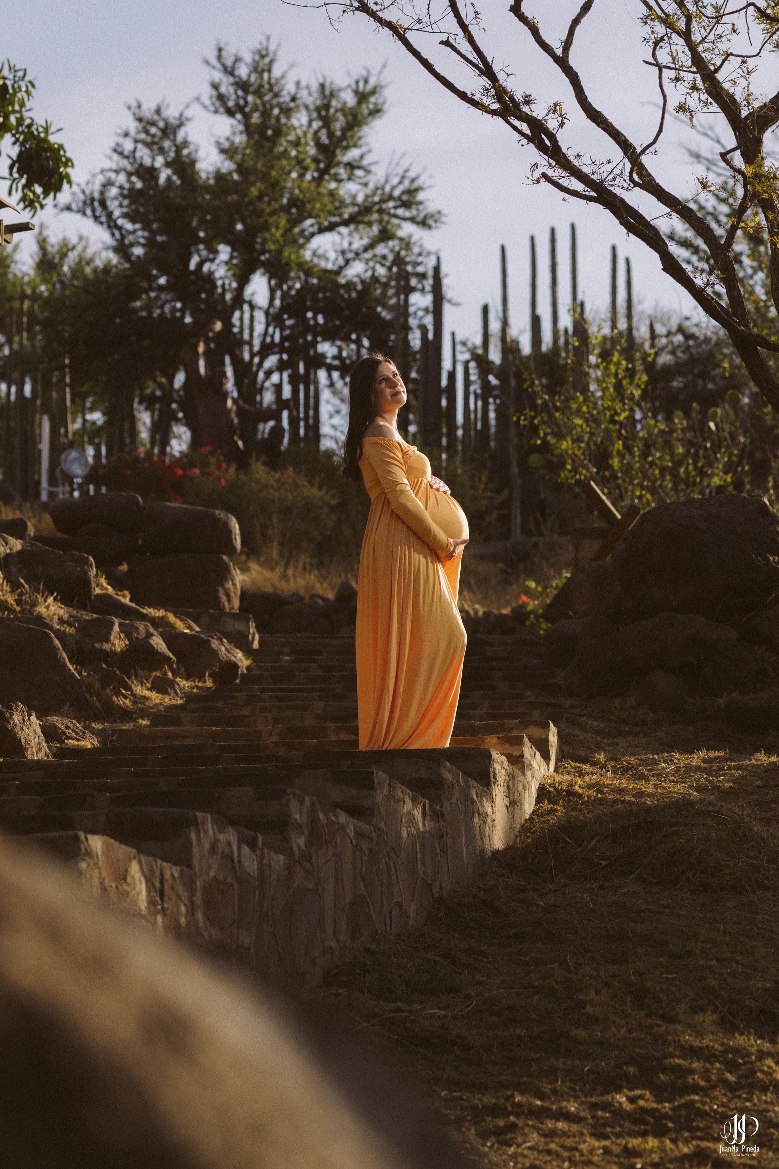  https://www.juanmapineda.com/blog/embarazo-maternidad/sesiones-fotograficas 