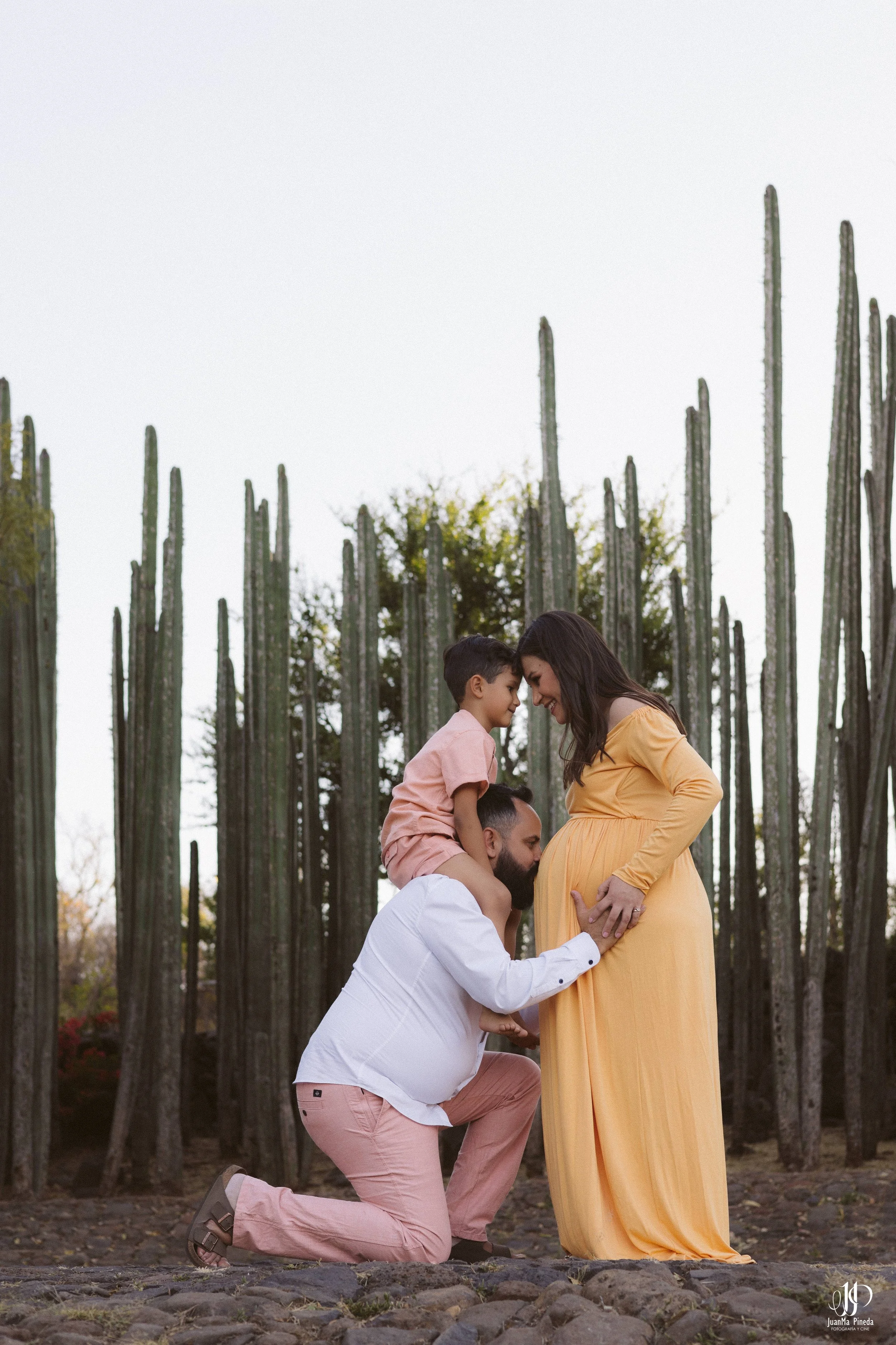  https://www.juanmapineda.com/blog/embarazo-maternidad/sesiones-fotograficas 