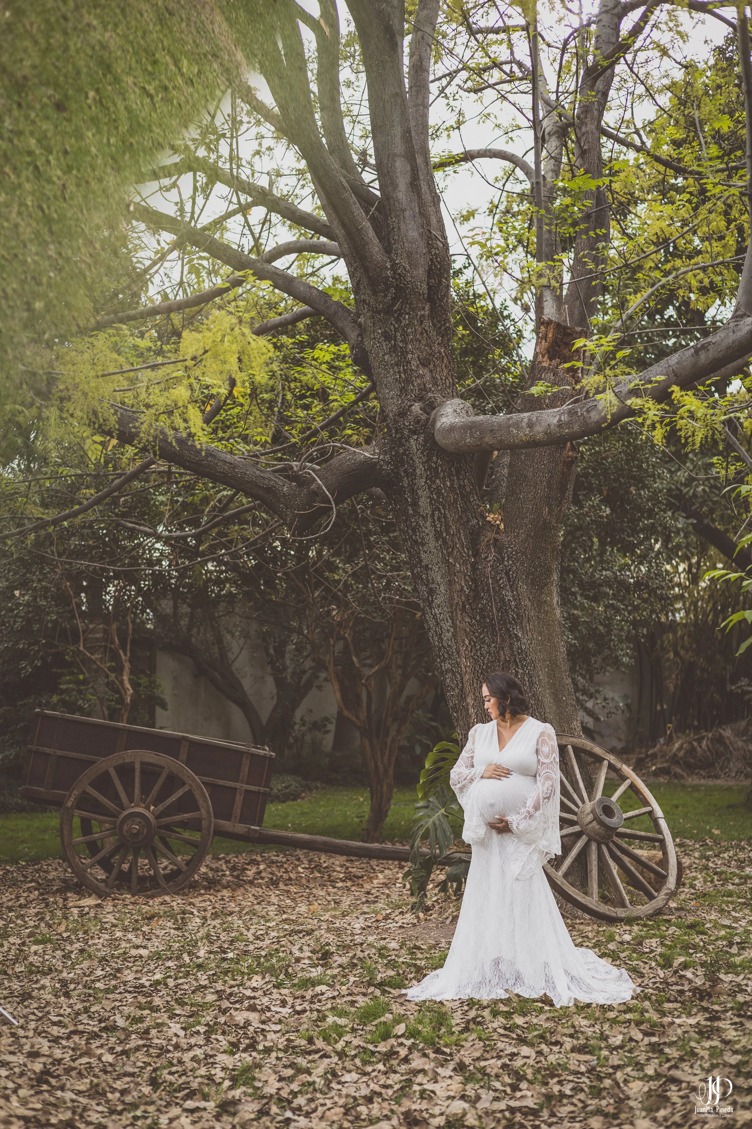 Sesión Embarazo-1-37.jpg