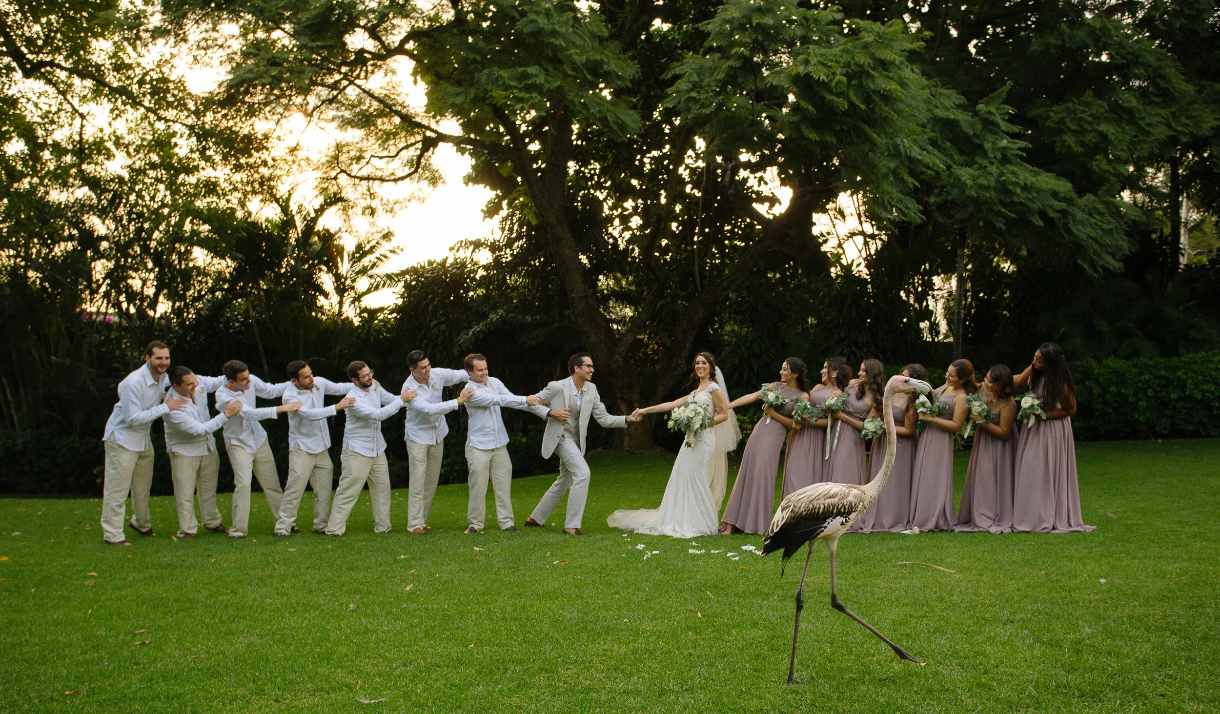 Boda-71.jpg