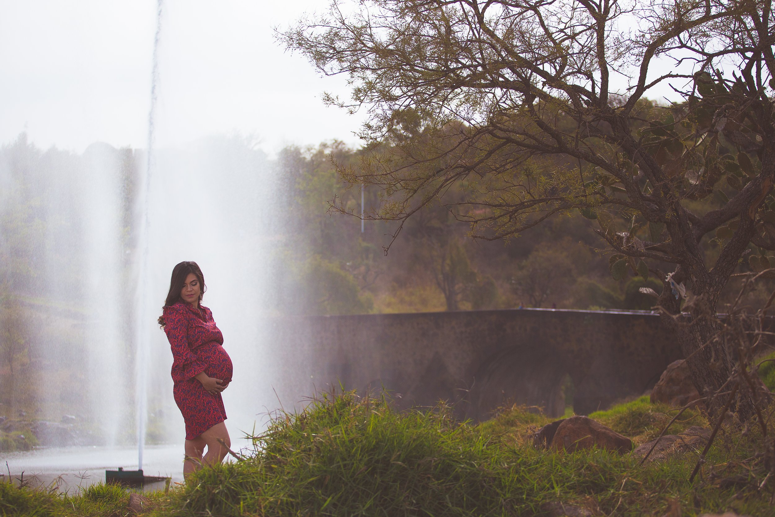 Fotografía+Maternidad+Embarazo082.jpg