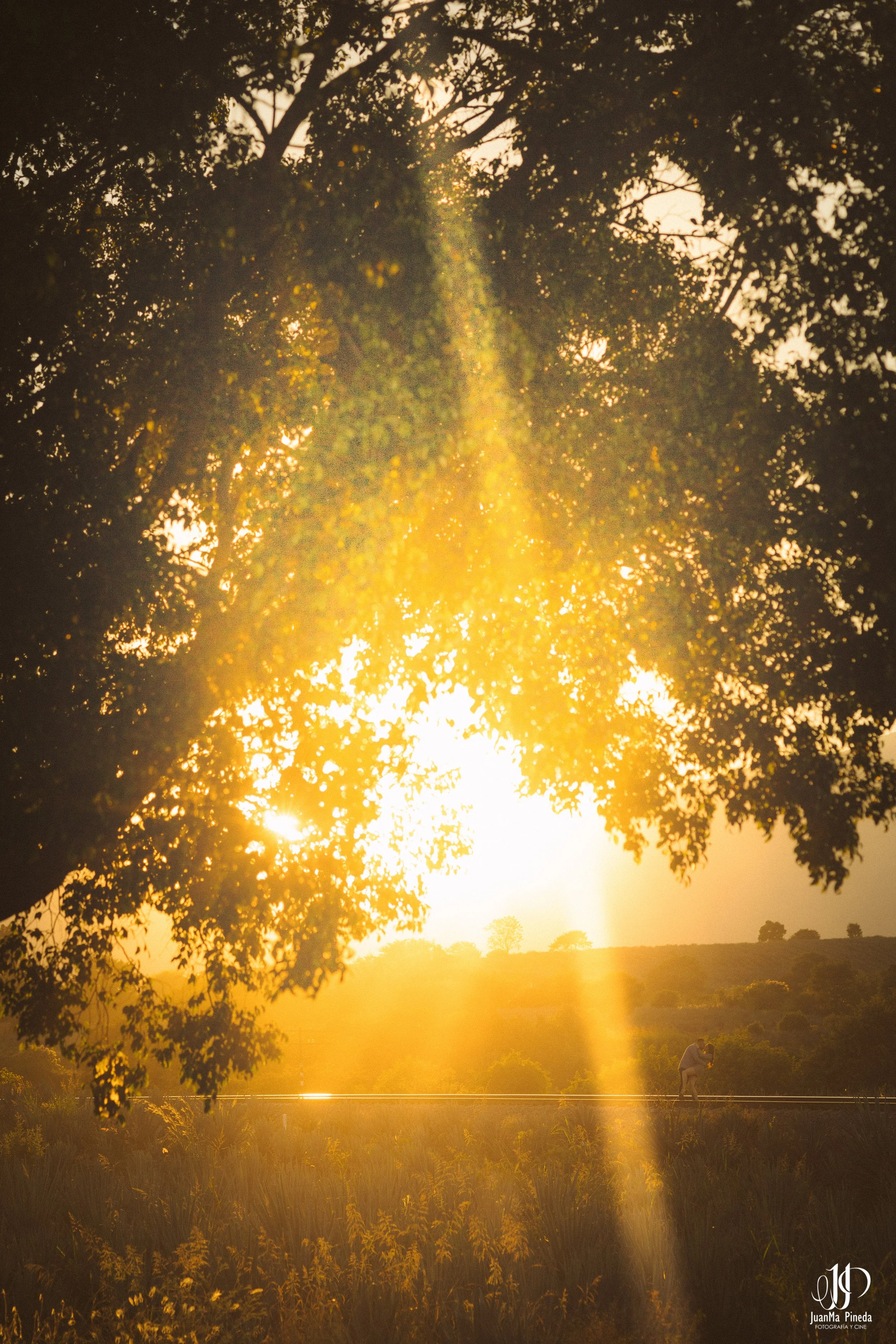 Save the Date Tequila Sunset-4.jpg