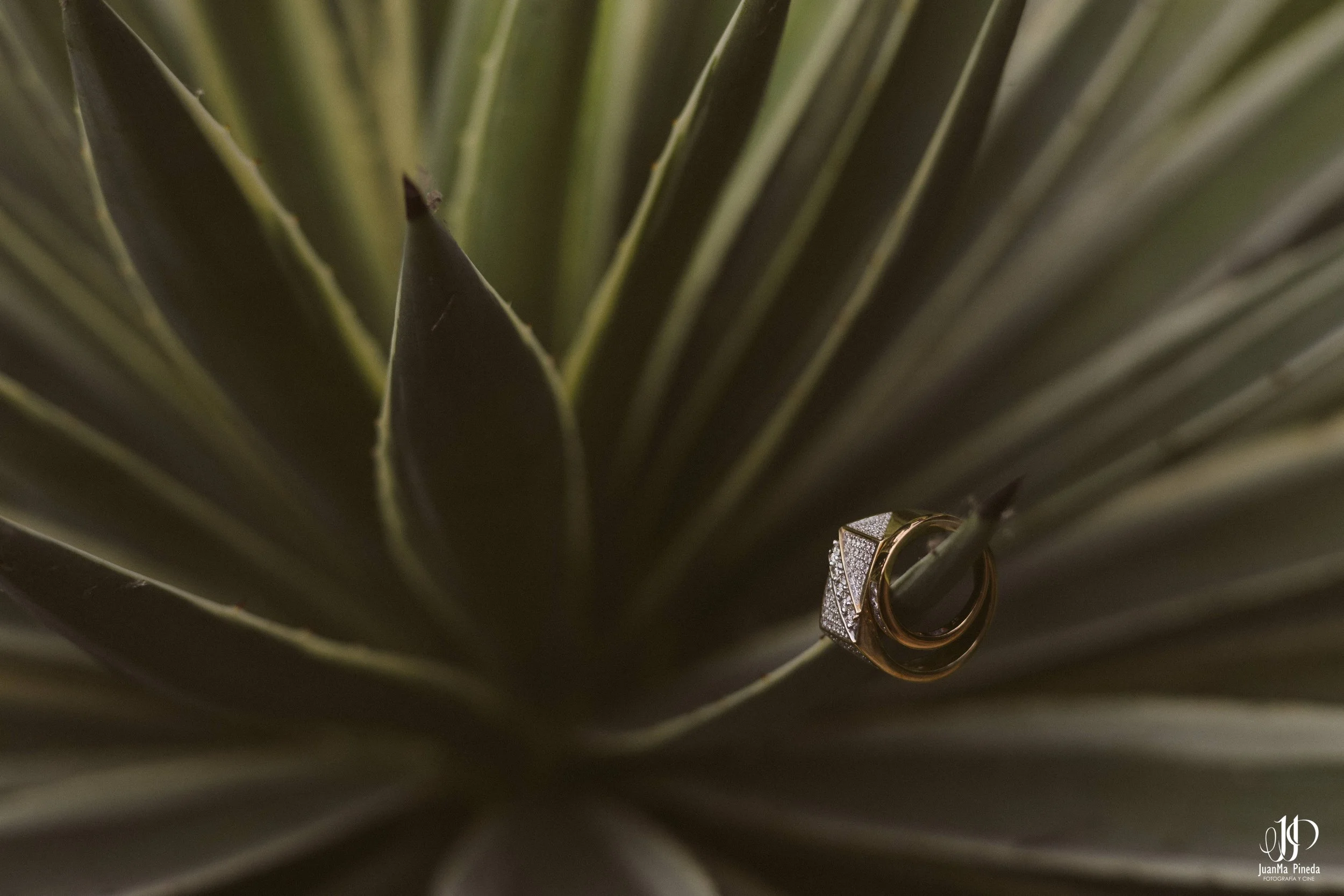 Arreglo+Novios+Casa+Lago-3.jpg