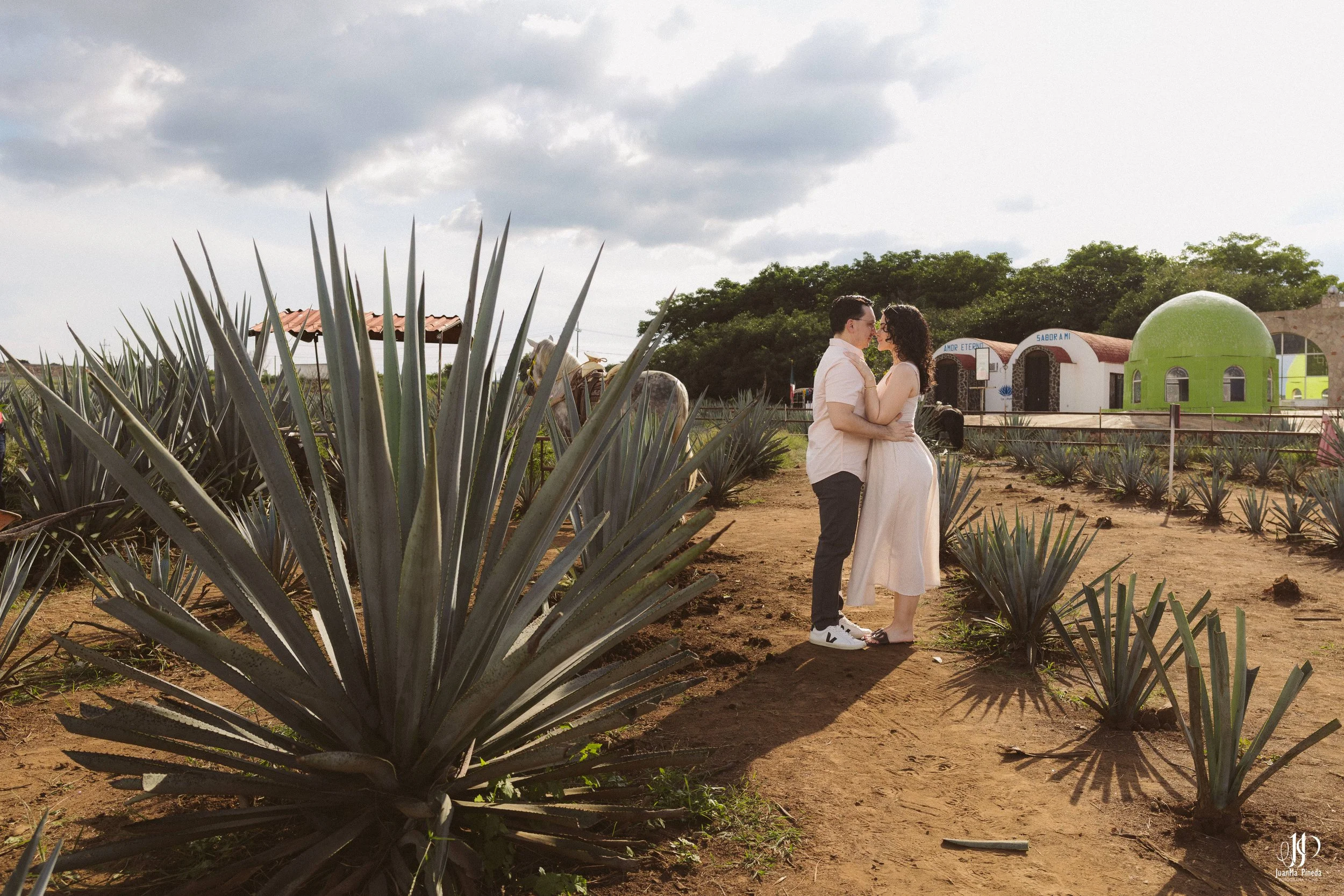 Tequila Jalisco-13.jpg
