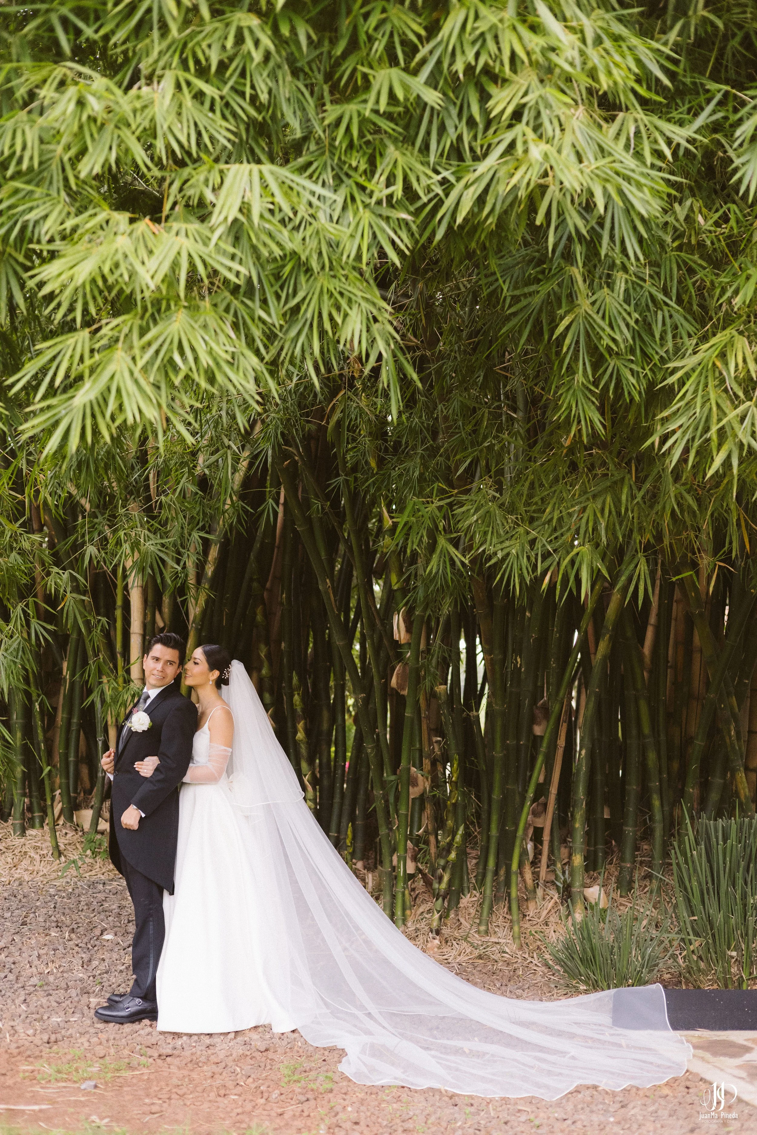Eternizando el Amor: Sesión Formal de Novios en Arbolada - Jardín de Eventos, Atotonilco El Alto, Jalisco