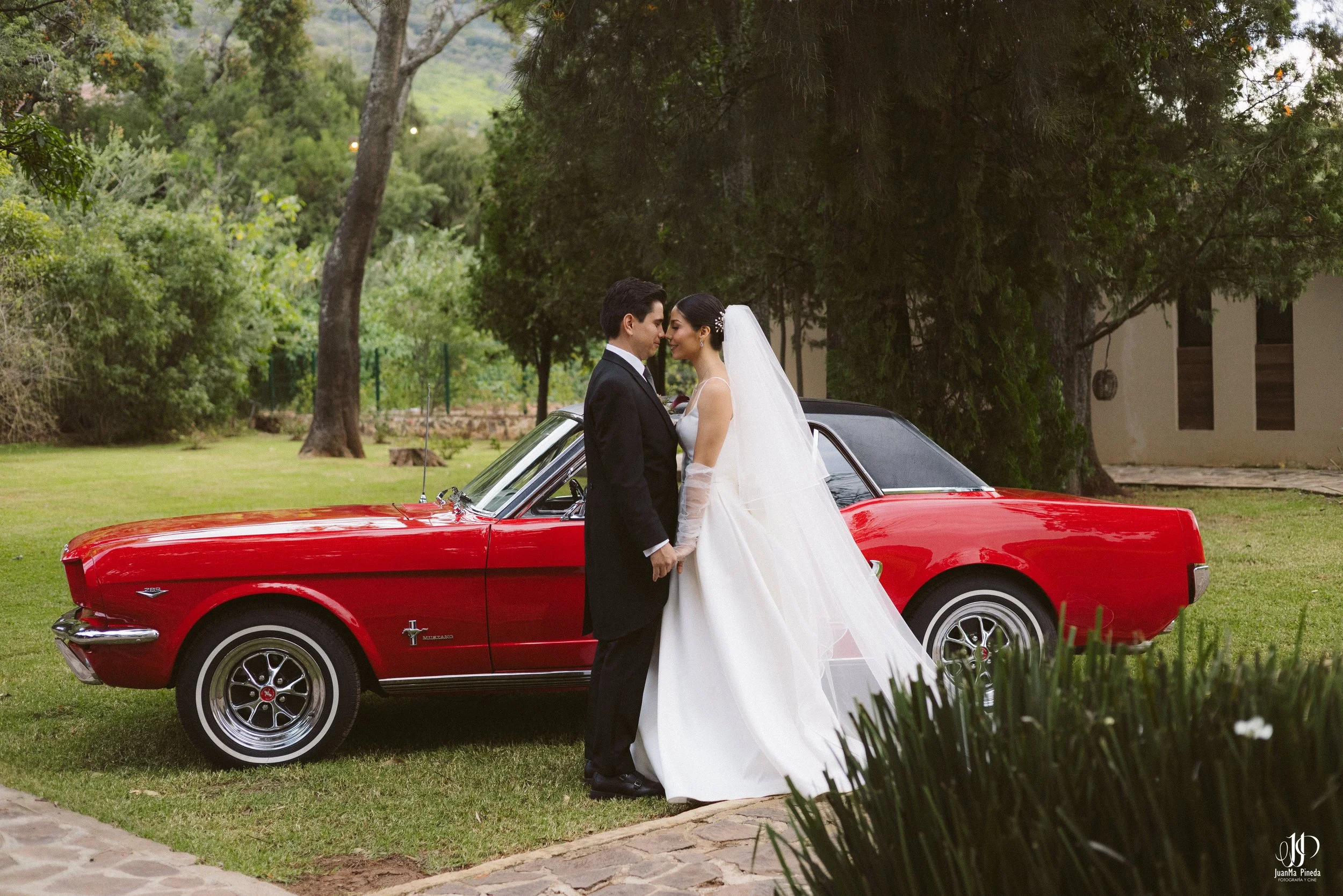 Mustang, símbolo de Elegancia y Romance para Sesión de Fotos Formales en la Arbolada de Atotonilco El Alto para una Boda Destino