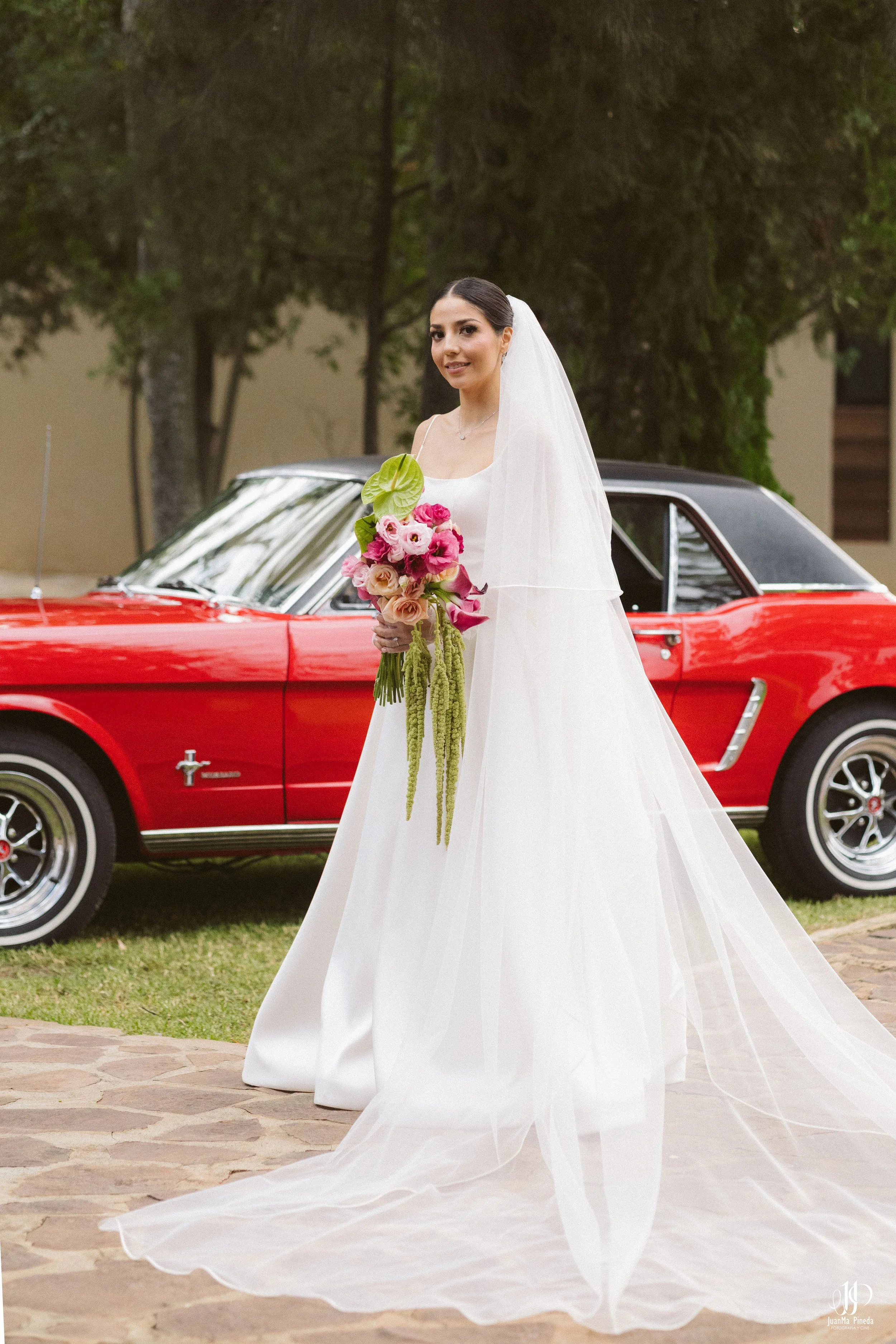Mustang, símbolo de Elegancia y Romance para Sesión de Fotos Formales en la Arbolada de Atotonilco El Alto para una Boda Destino