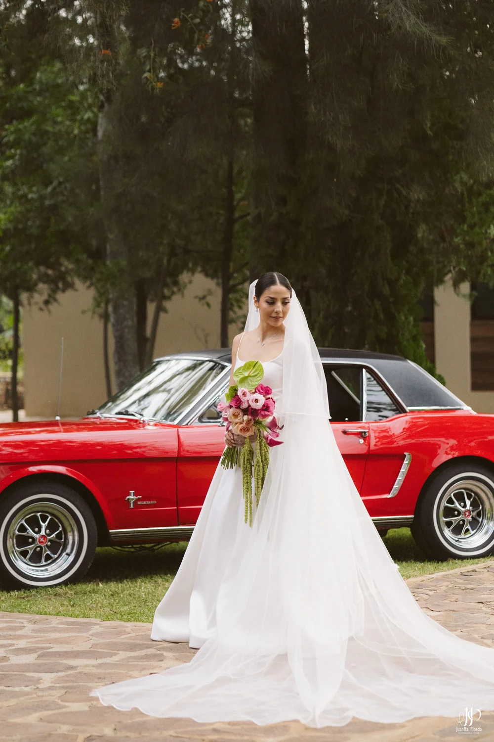 Mustang, símbolo de Elegancia y Romance para Sesión de Fotos Formales en la Arbolada de Atotonilco El Alto para una Boda Destino