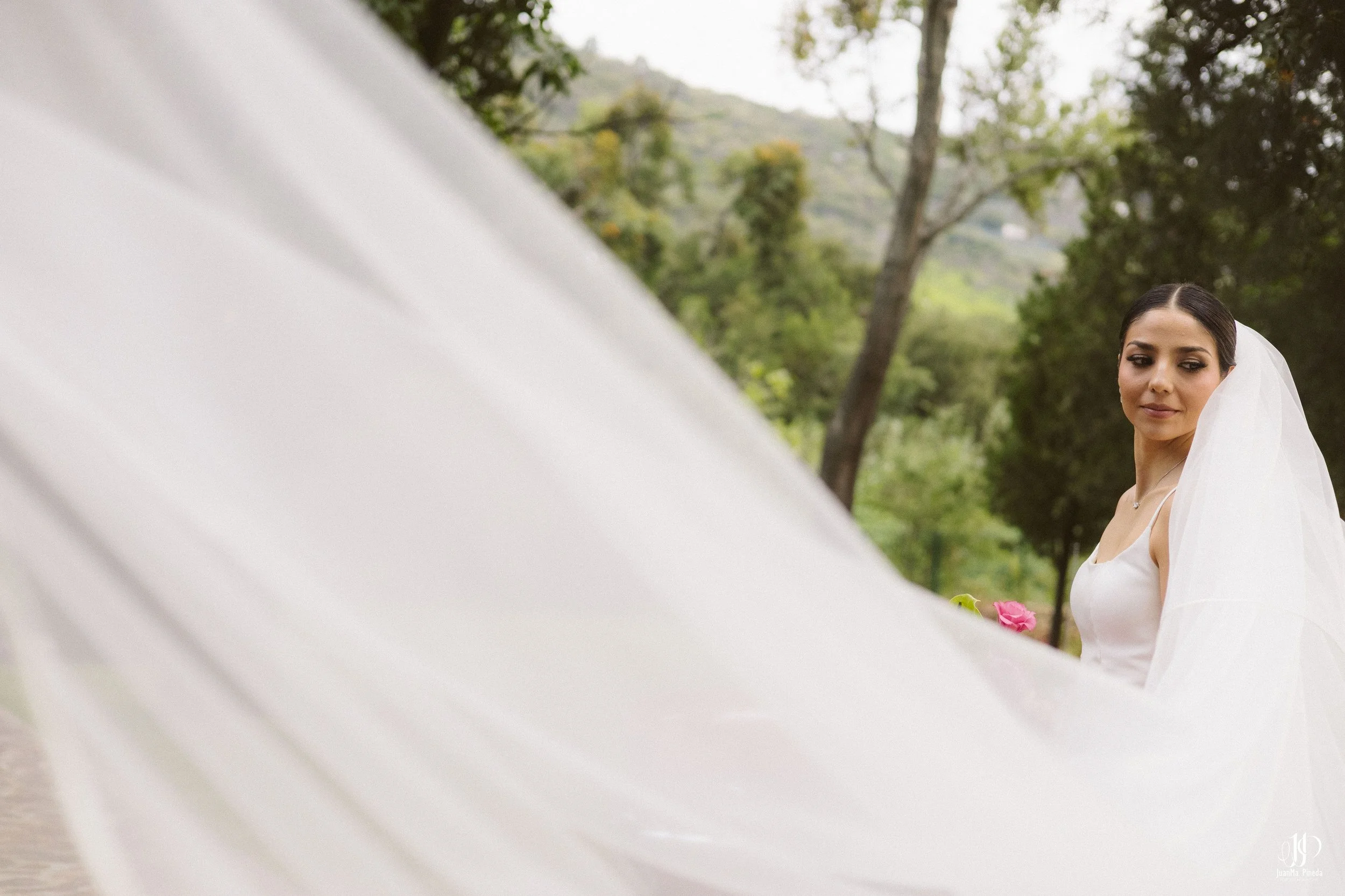 Mustang, símbolo de Elegancia y Romance para Sesión de Fotos Formales en la Arbolada de Atotonilco El Alto para una Boda Destino