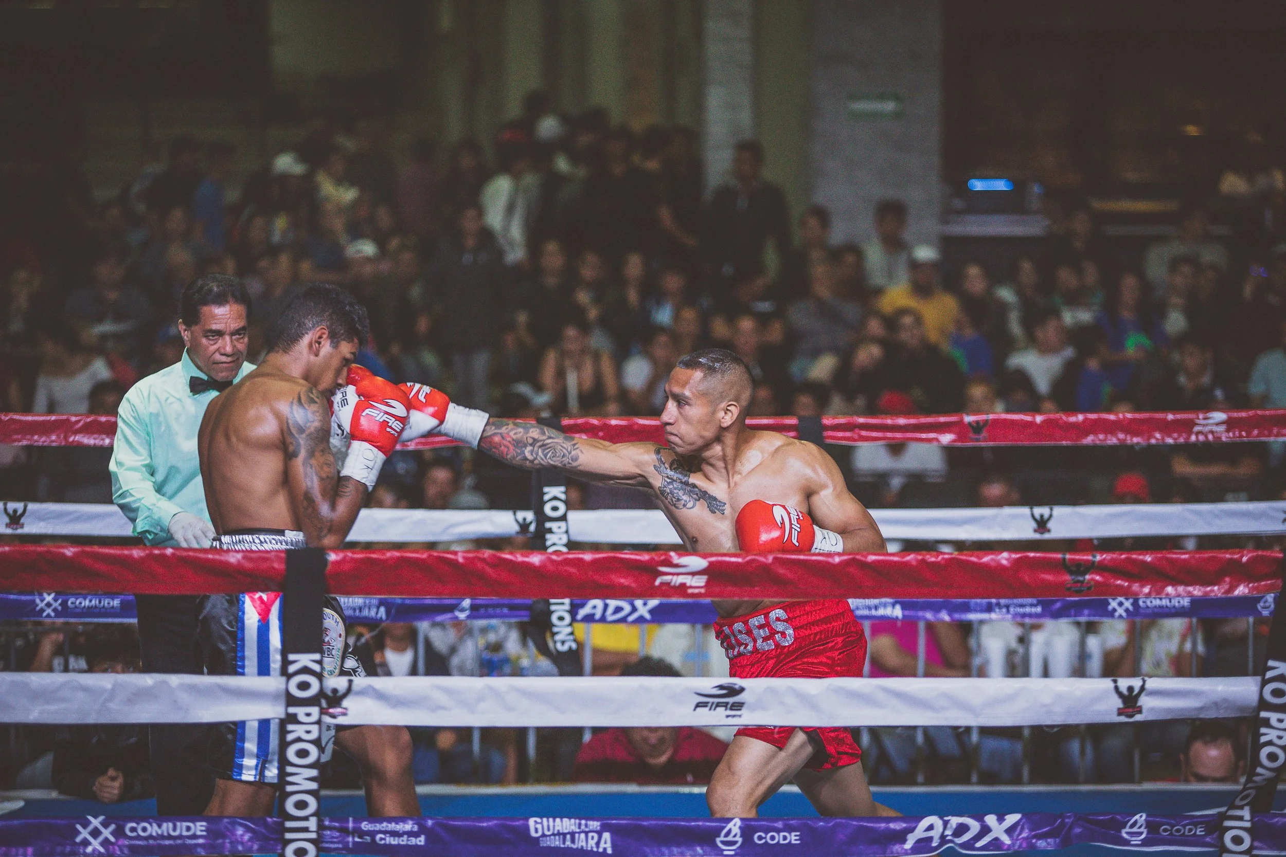 Box Photography-183.jpg