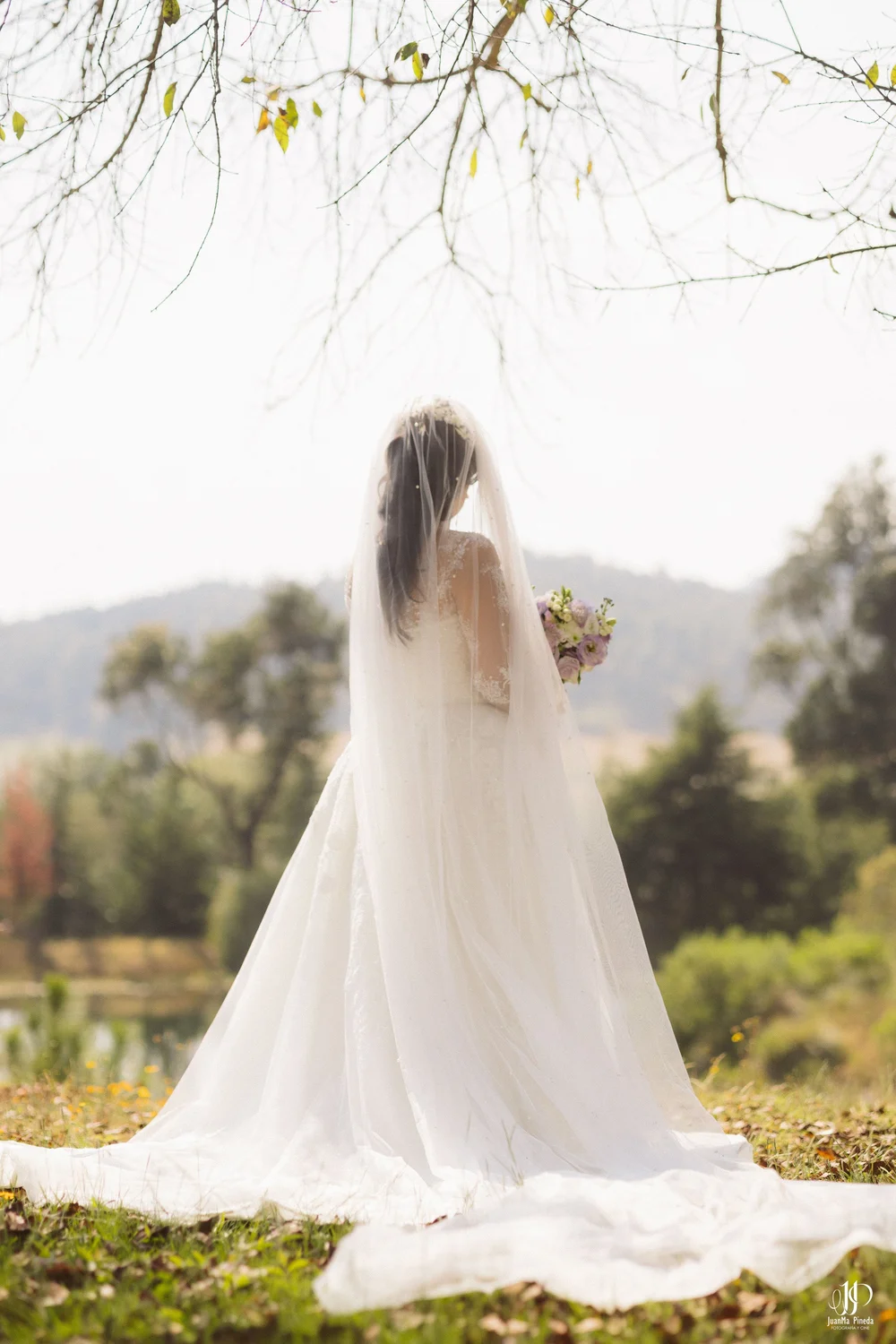 Emoción al Primer Encuentro en Cabañas Sierra del Tecuán — Elegancia Atemporal entre Pinos en Cabañas Sierra del Tecuán (Tapalpa, Jal.)