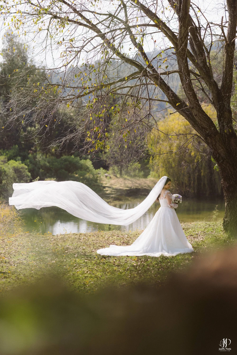 Emoción al Primer Encuentro en Cabañas Sierra del Tecuán — Elegancia Atemporal entre Pinos en Cabañas Sierra del Tecuán (Tapalpa, Jal.)