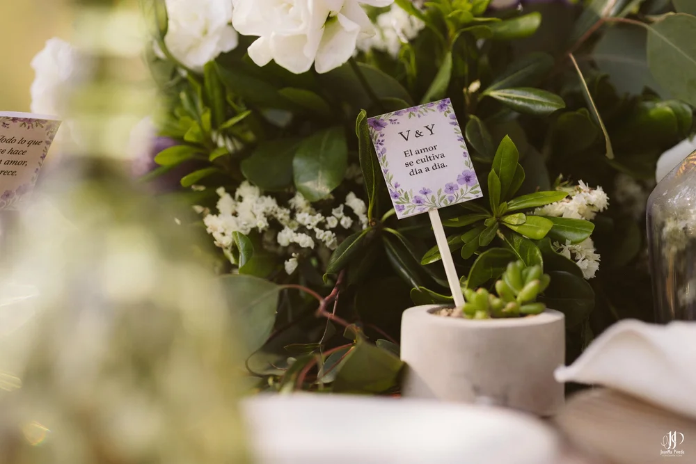 Recepción Social de Boda bajo estrellas — Cabañas Sierra del Tecuán [Tapalpa, Jal.]