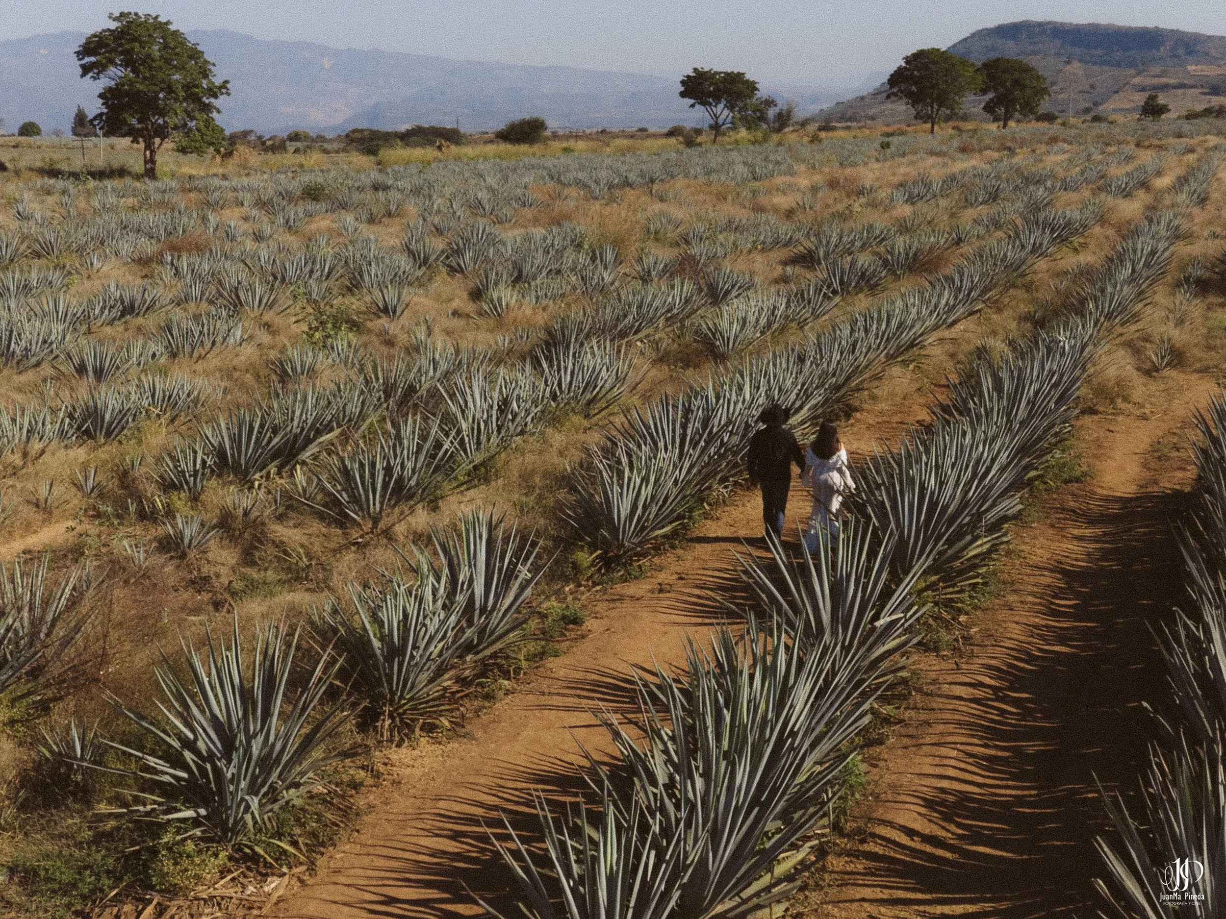 Amor en Tequila, Jal.: Sesión de Fotos Save The Date en la fábrica tequilera Tequila Tres Mujeres