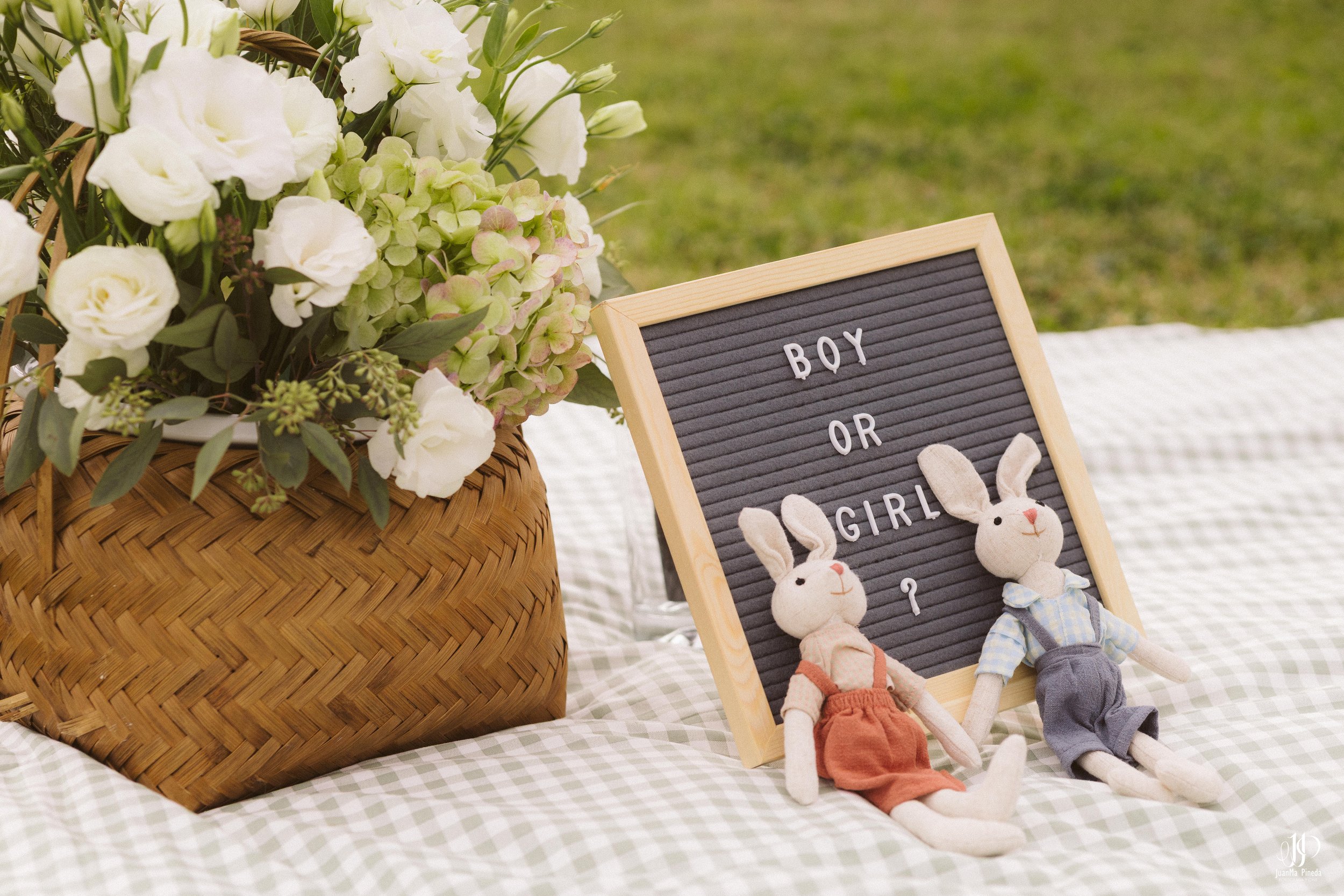 Sex Reveal Session-1.jpg