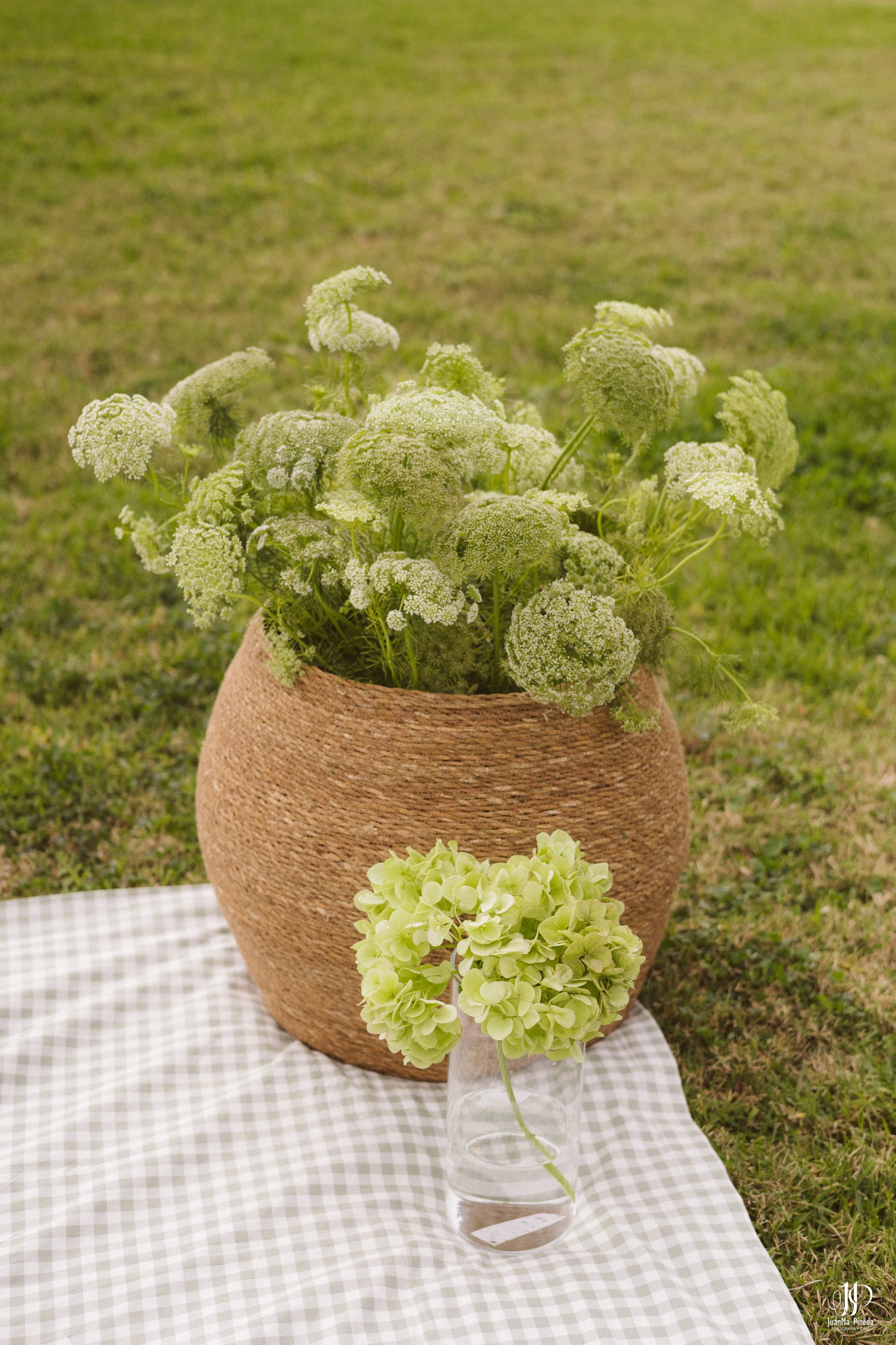 Sex Reveal Session-4.jpg